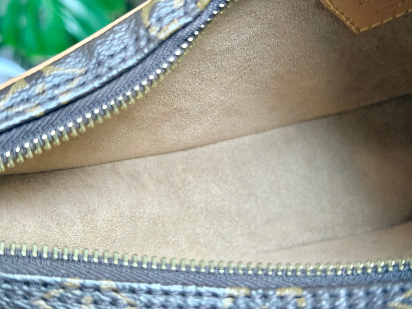 Louis Vuitton Loop PM Mono