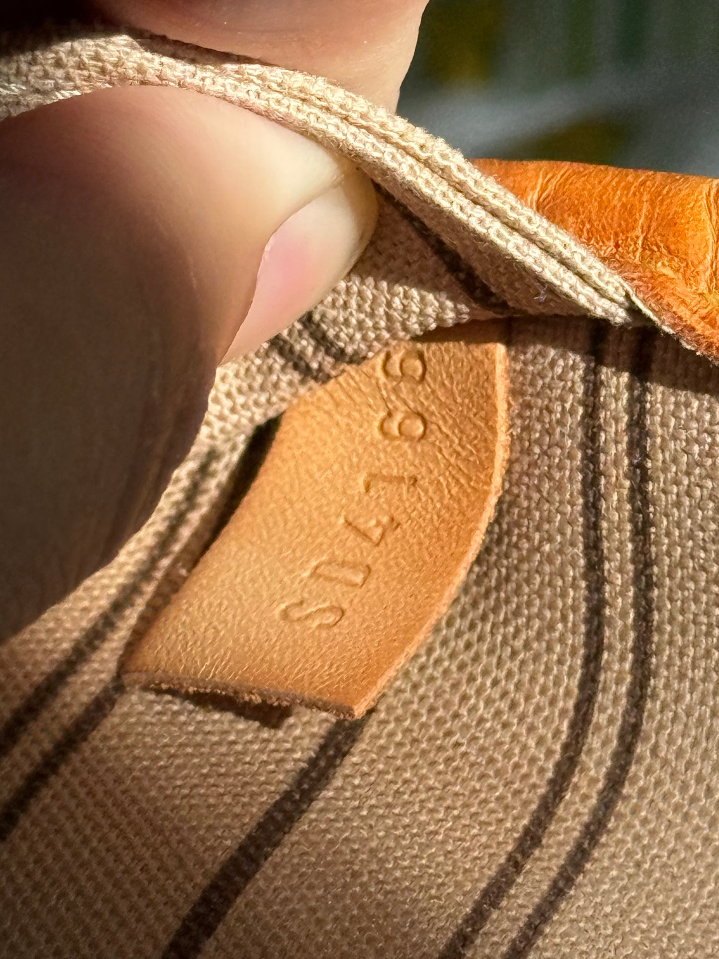 Louis Vuitton Neverfull MM Mono Beige