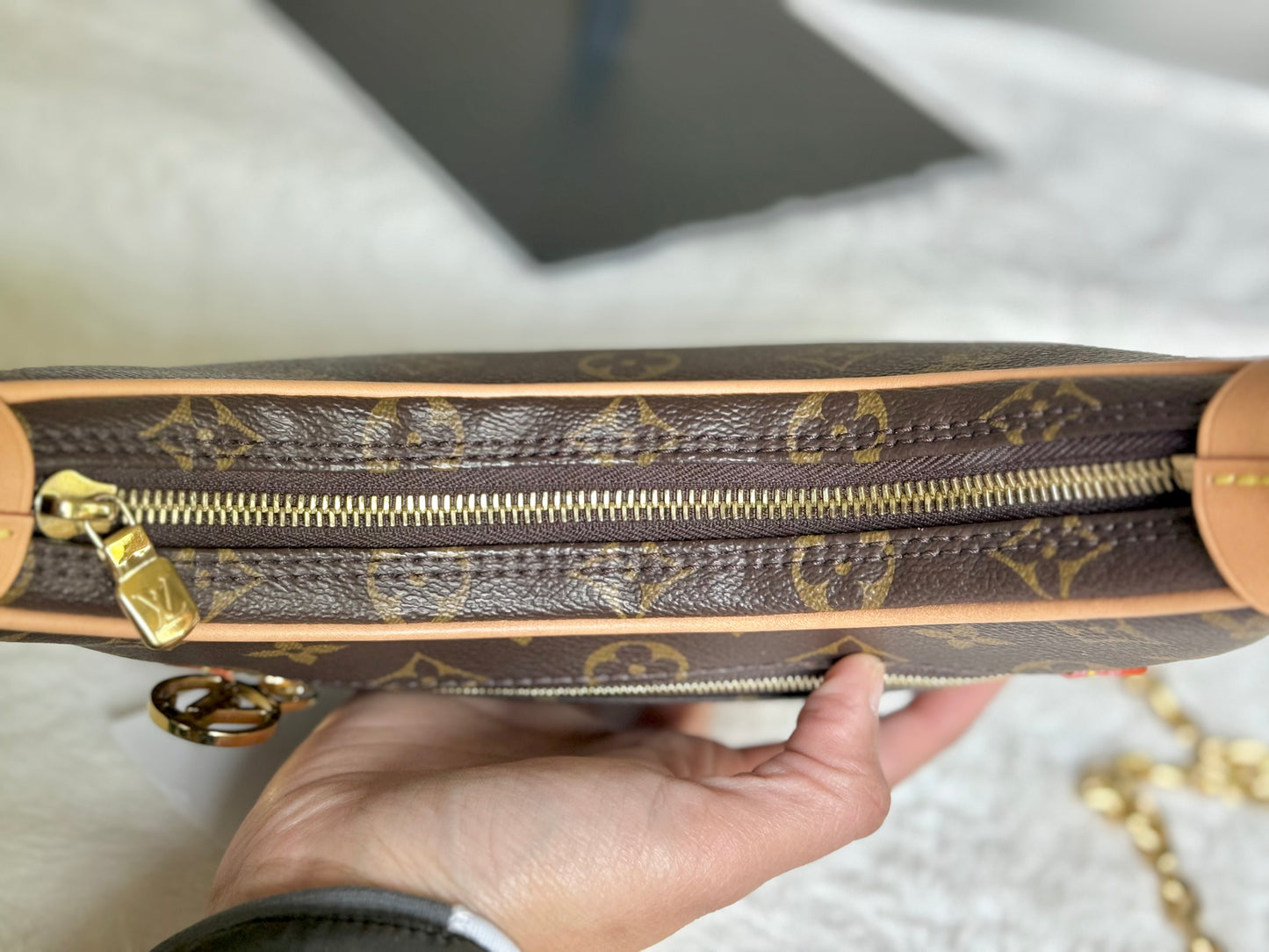 Louis Vuitton Loop PM Mono