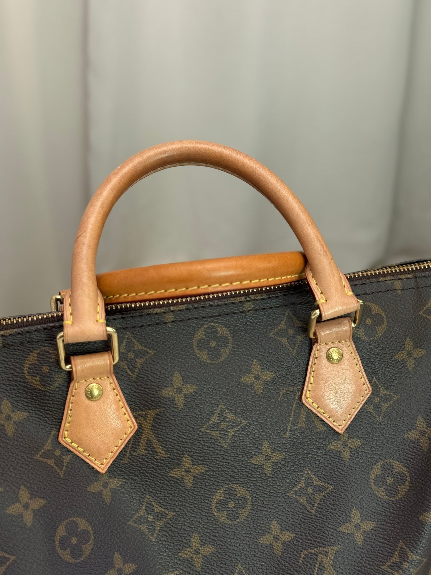 Louis Vuitton Speedy 30 Mono