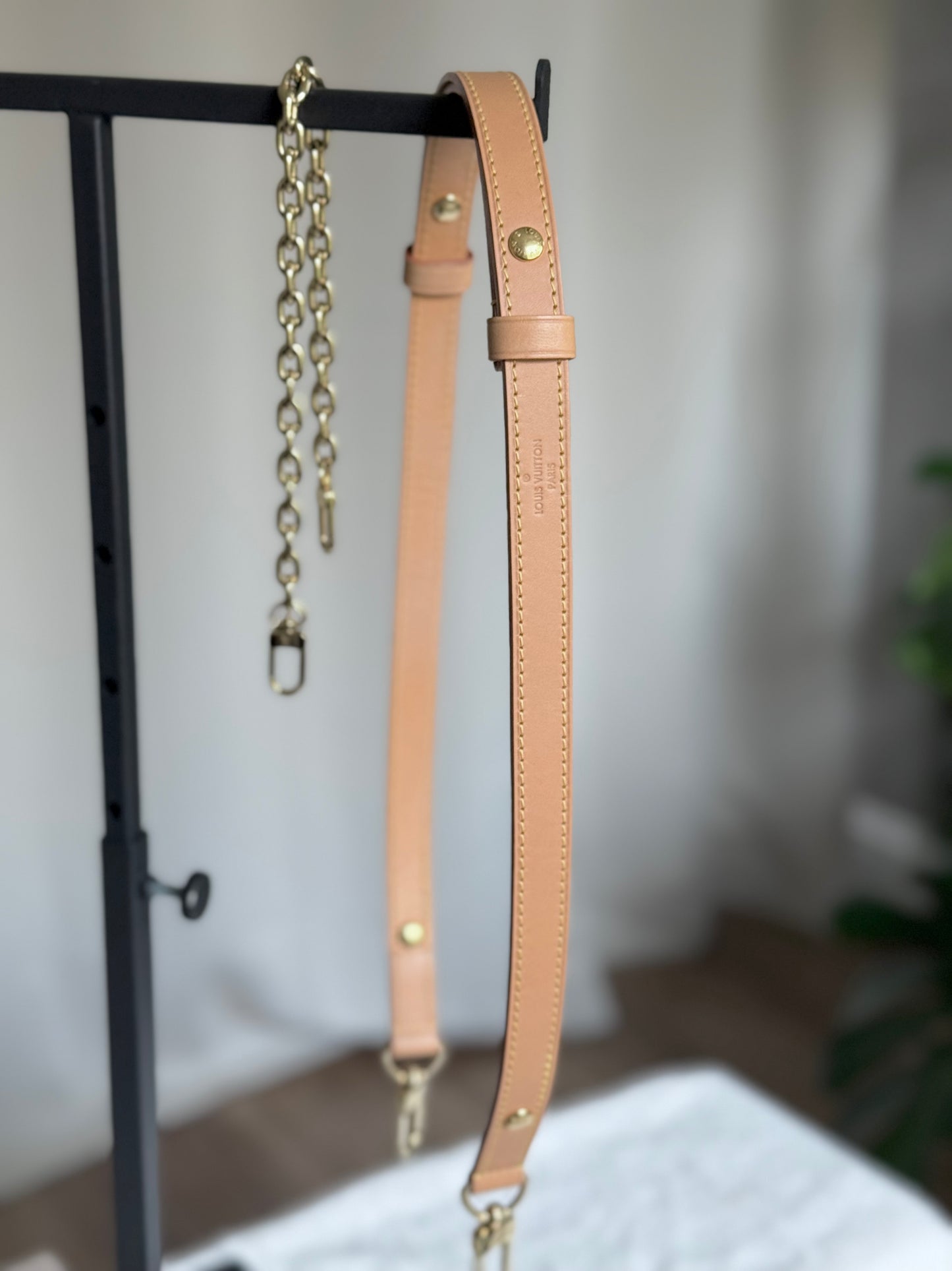 Louis Vuitton Loop PM Mono