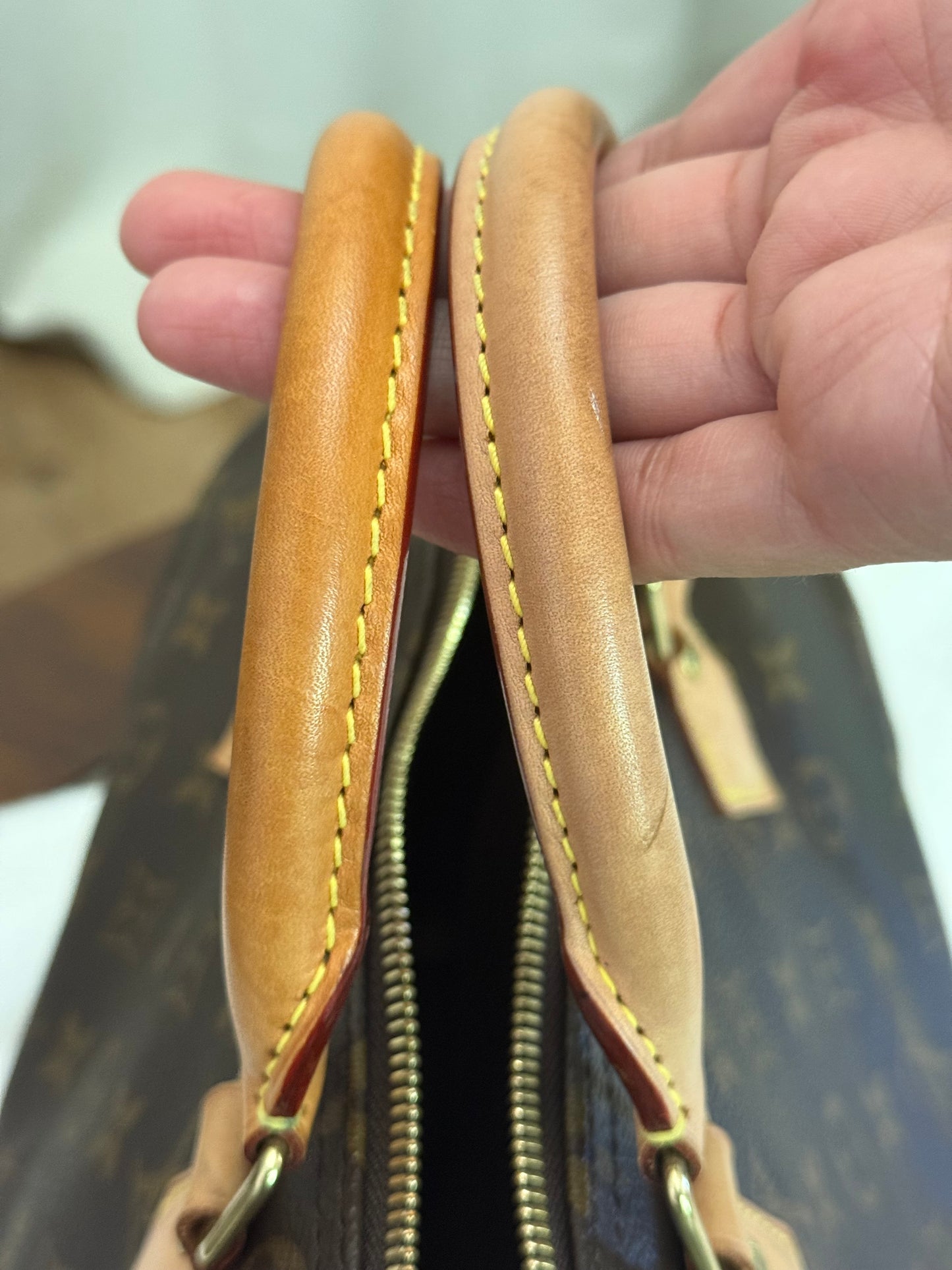 Louis Vuitton Speedy 30 Mono