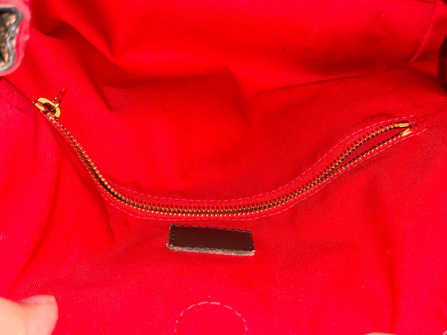 Louis Vuitton Graceful PM Damier Ebene