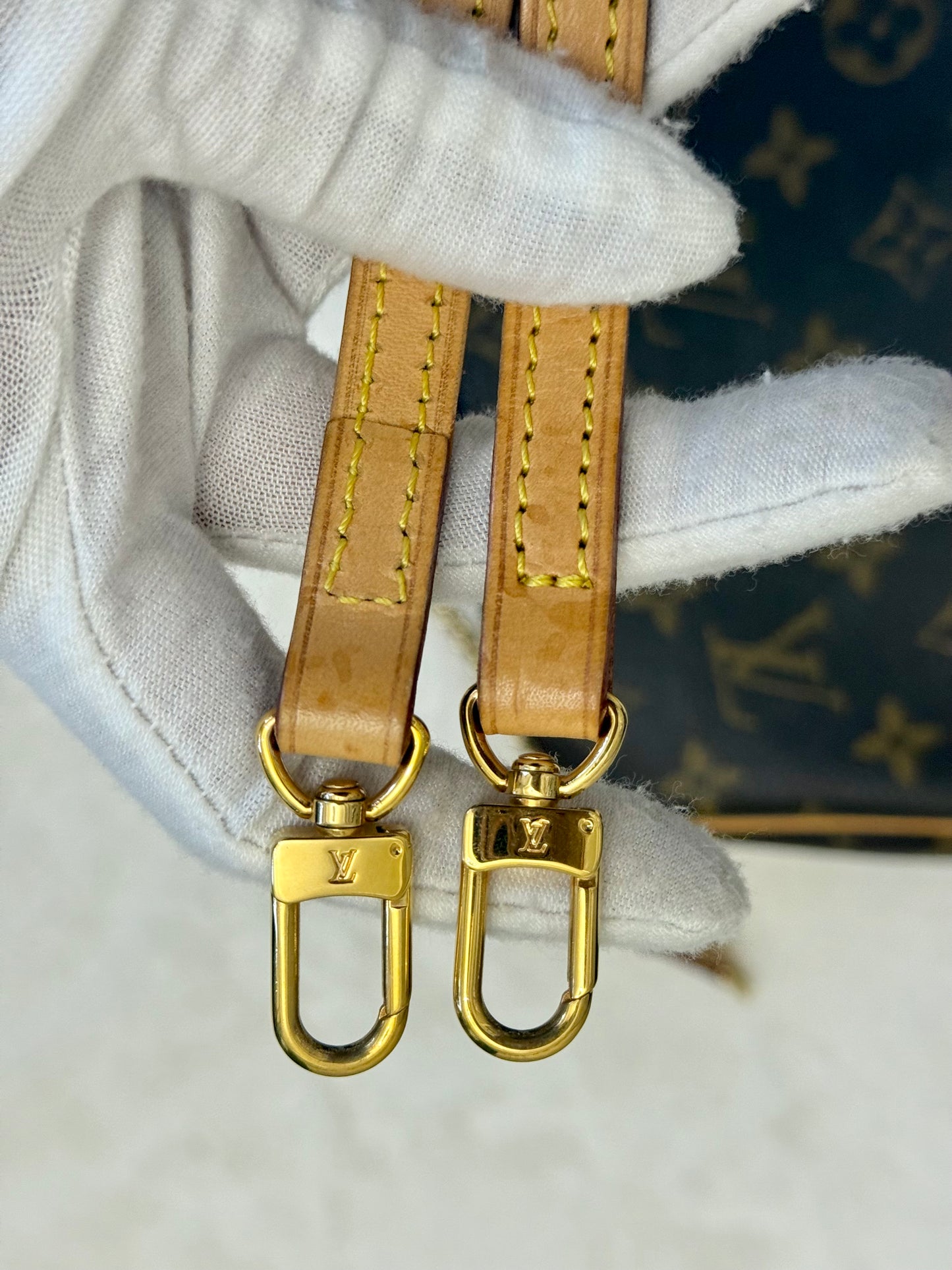 Louis Vuitton Eva Pochette Mono