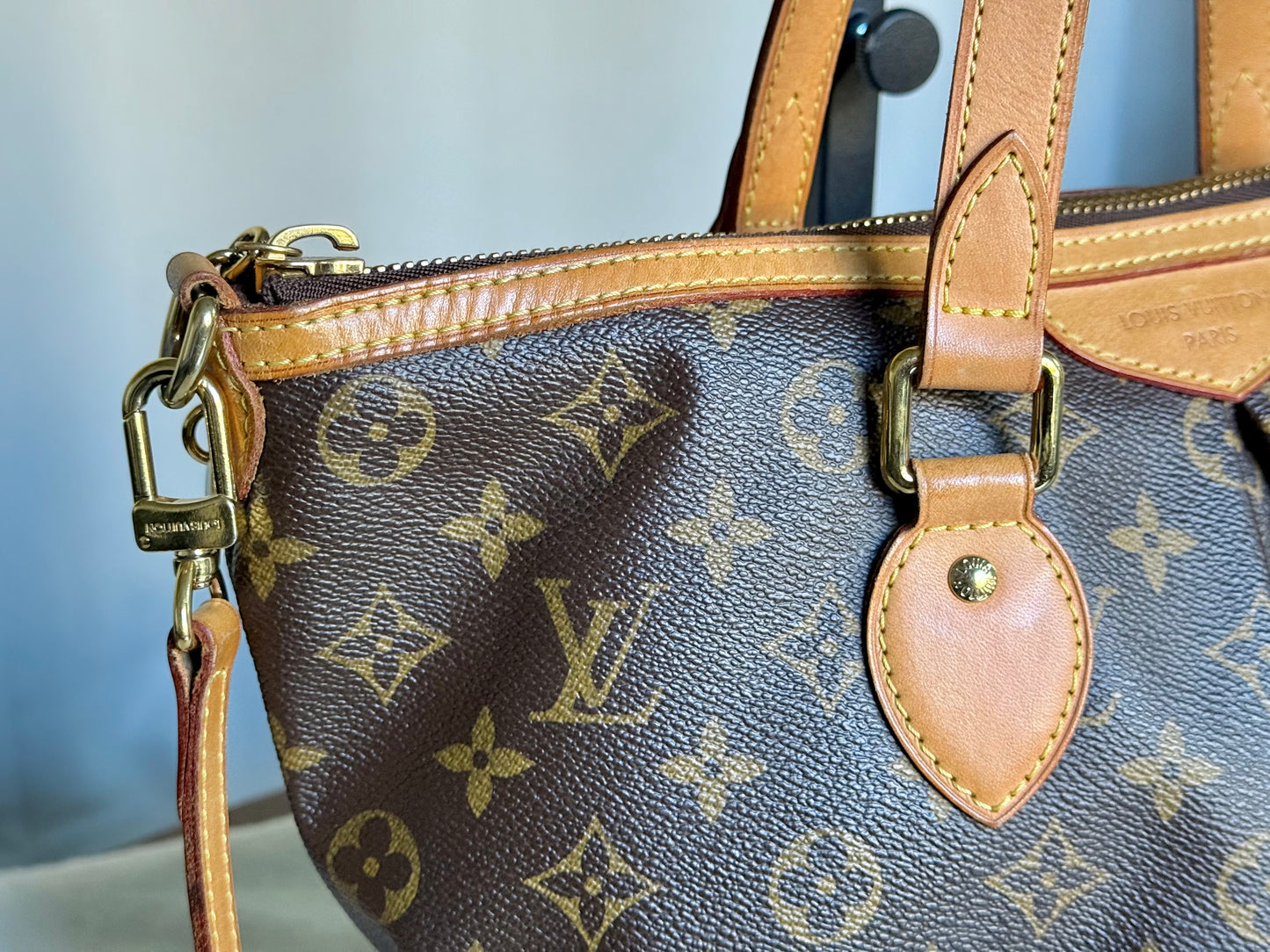 Louis Vuitton Palermo PM Mono