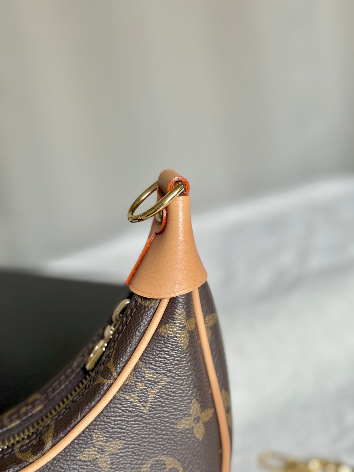 Louis Vuitton Loop PM Mono