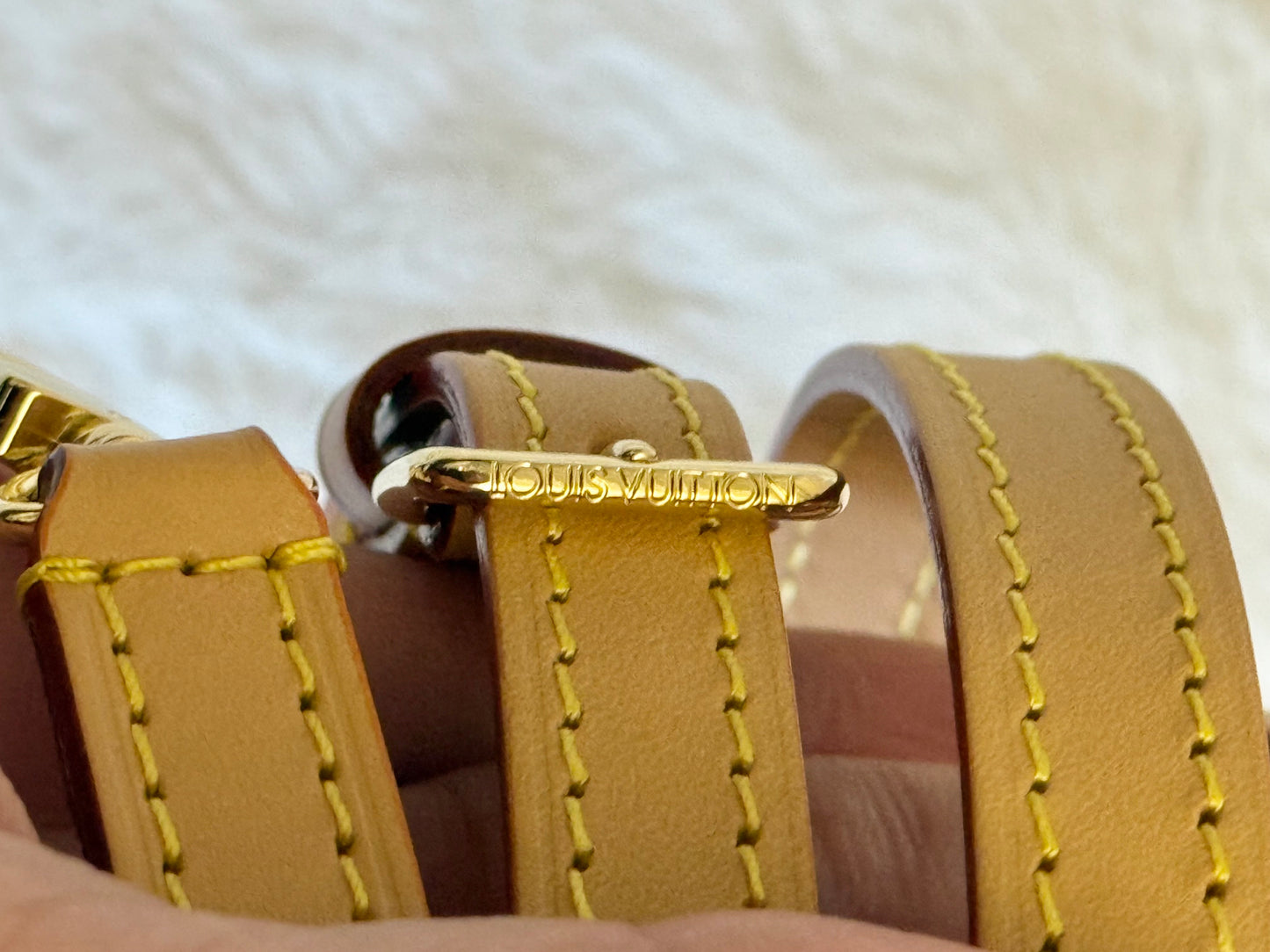Louis Vuitton Mini Bumbag Mono