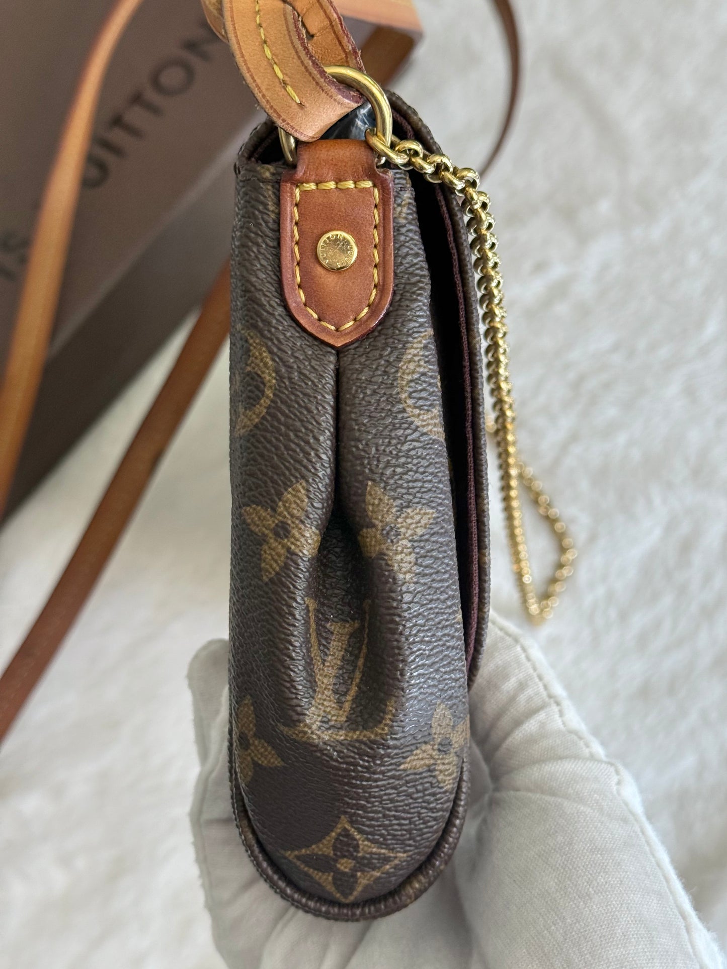 Louis Vuitton Favorite MM Mono