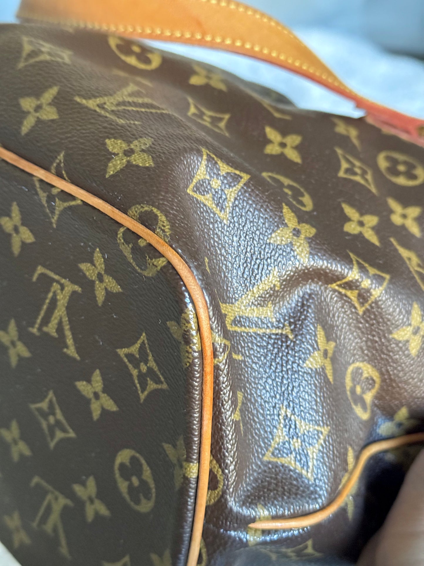 Louis Vuitton Palermo PM Mono
