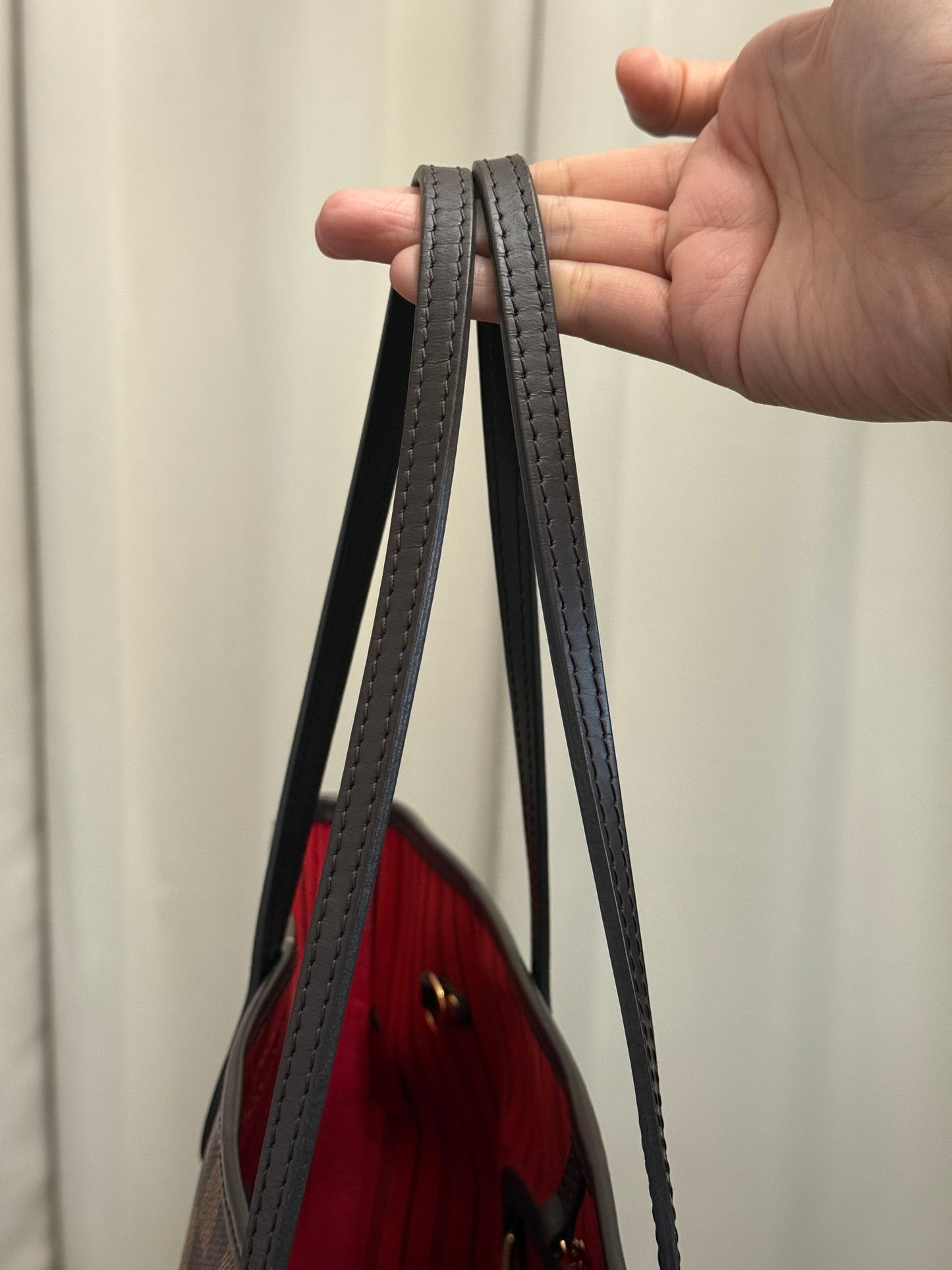 Louis Vuitton Neverfull MM DE bag only