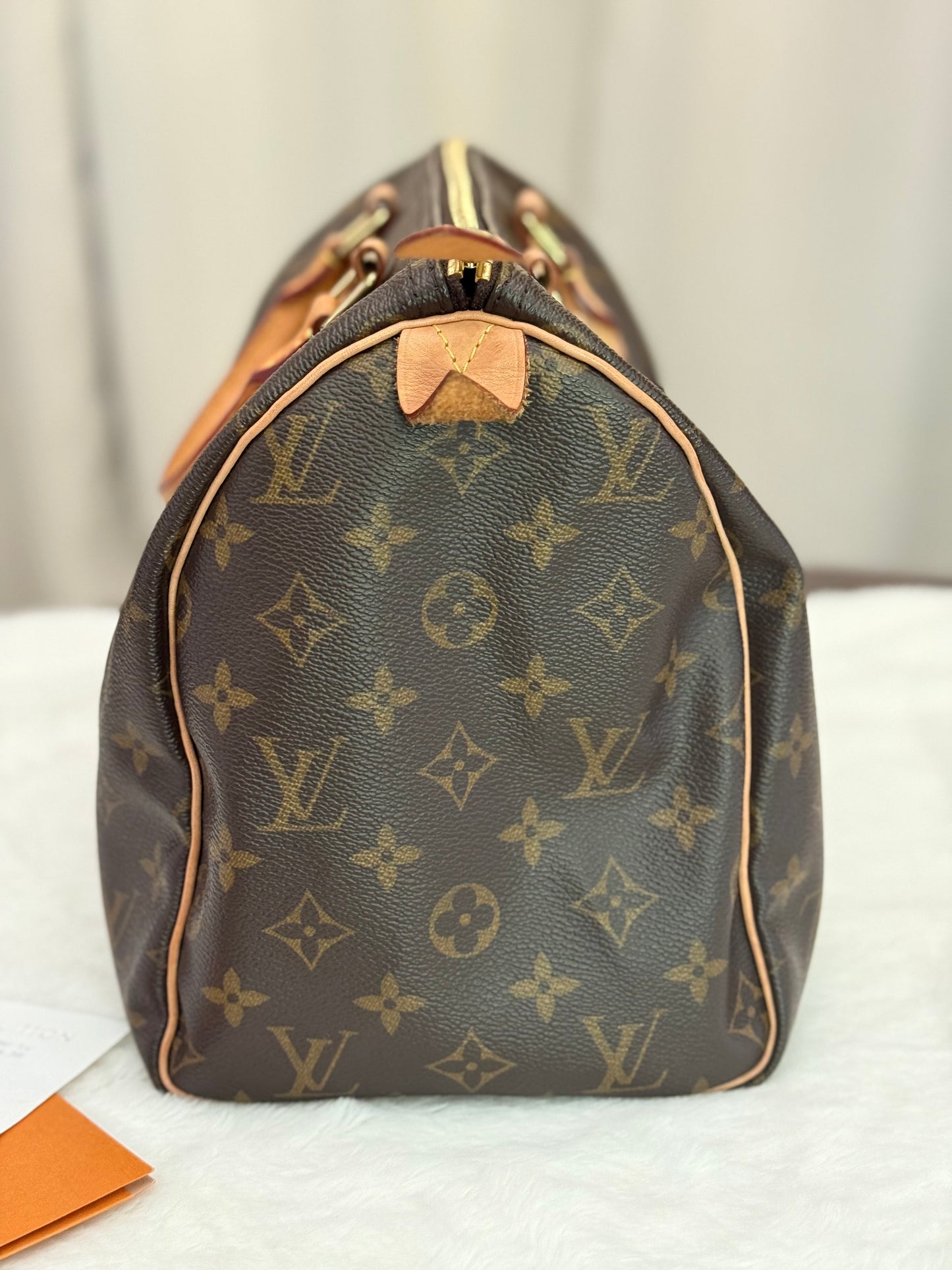 Louis Vuitton Speedy 30 Mono