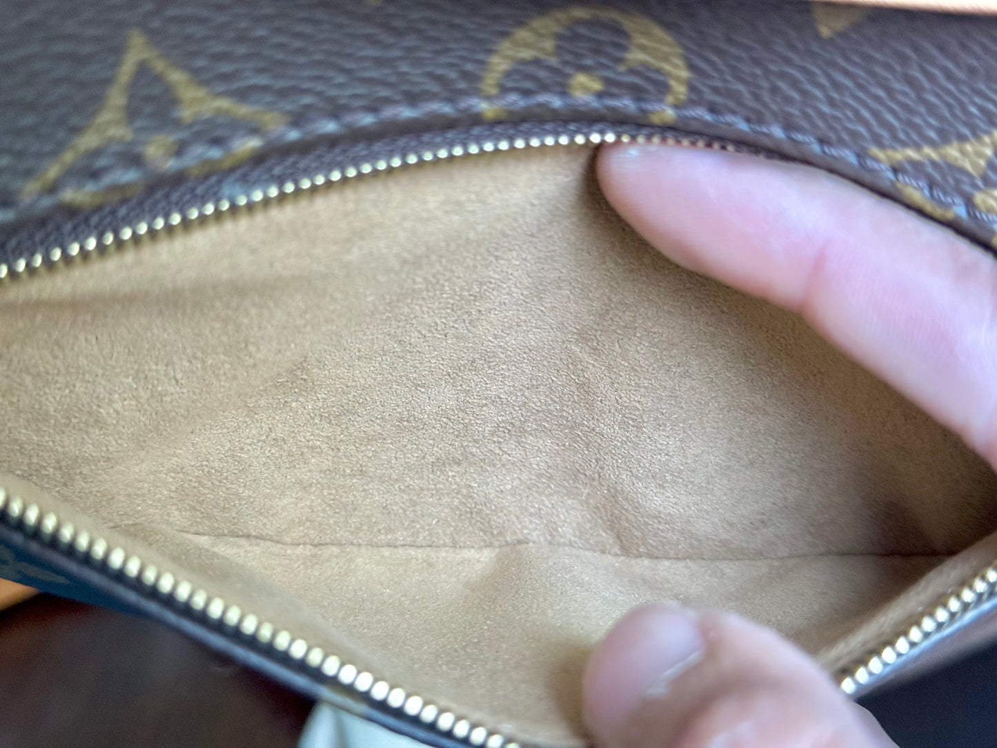 Louis Vuitton Loop PM Mono