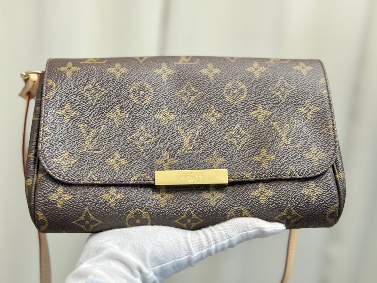Louis Vuitton Favorite MM Mono