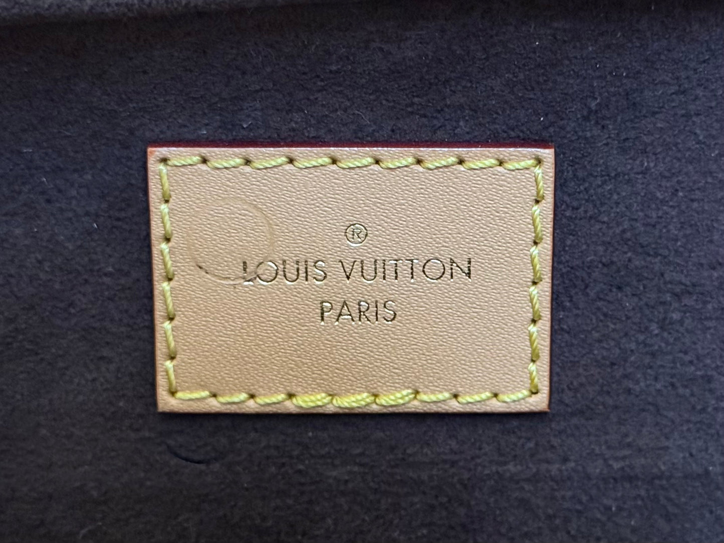 Louis Vuitton Mini Bumbag Mono