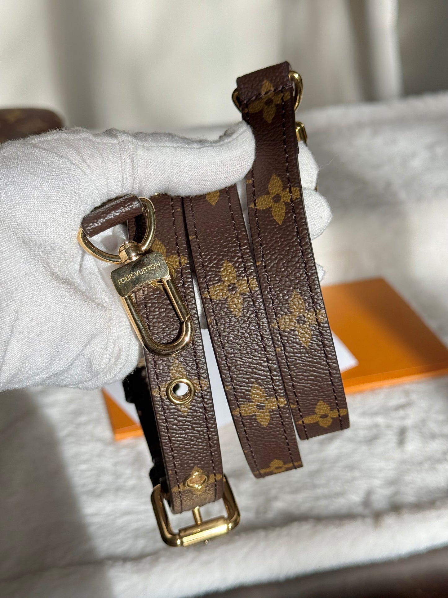 Louis Vuitton Pochette Metis Mono