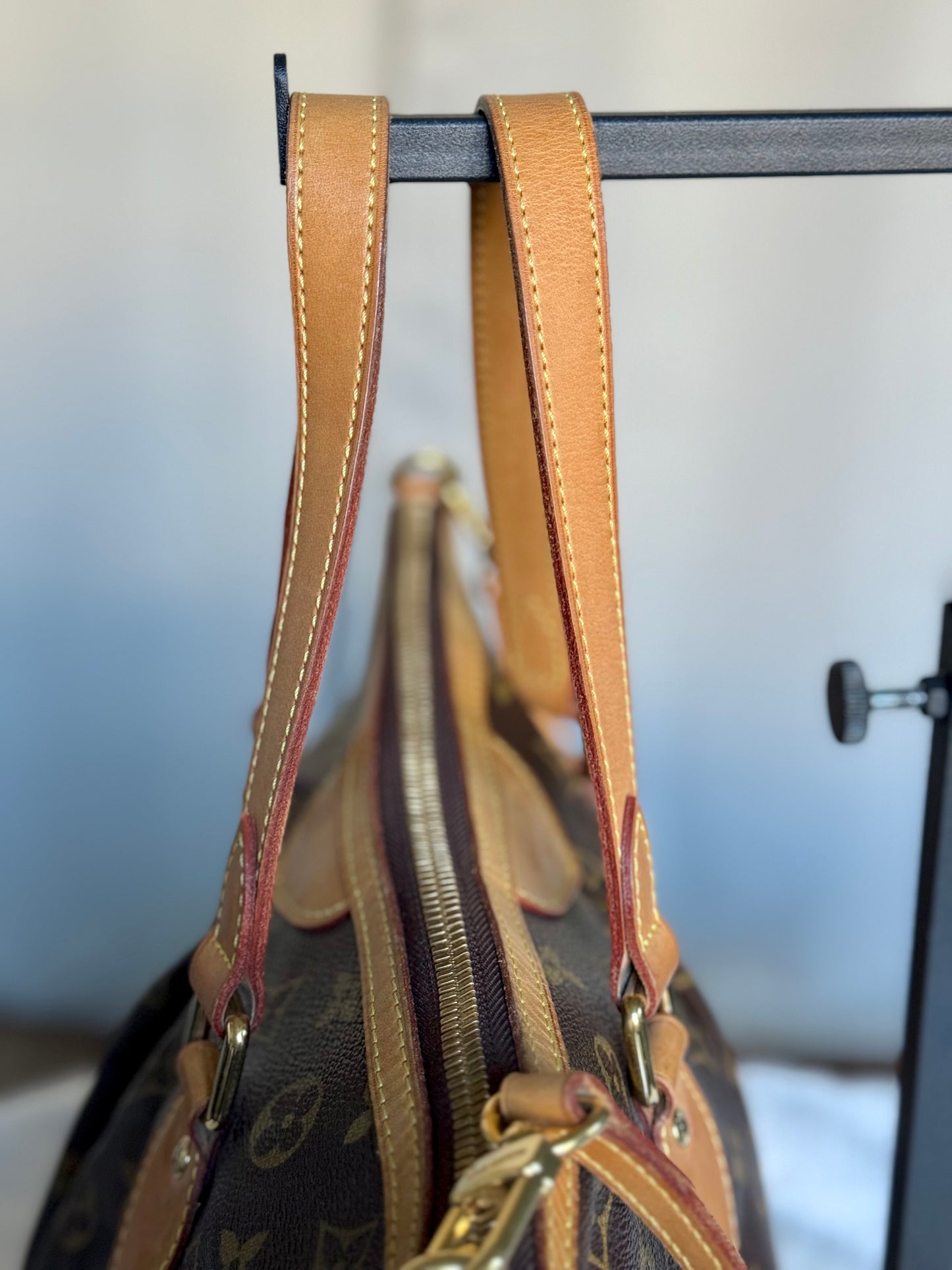 Louis Vuitton Palermo PM Mono