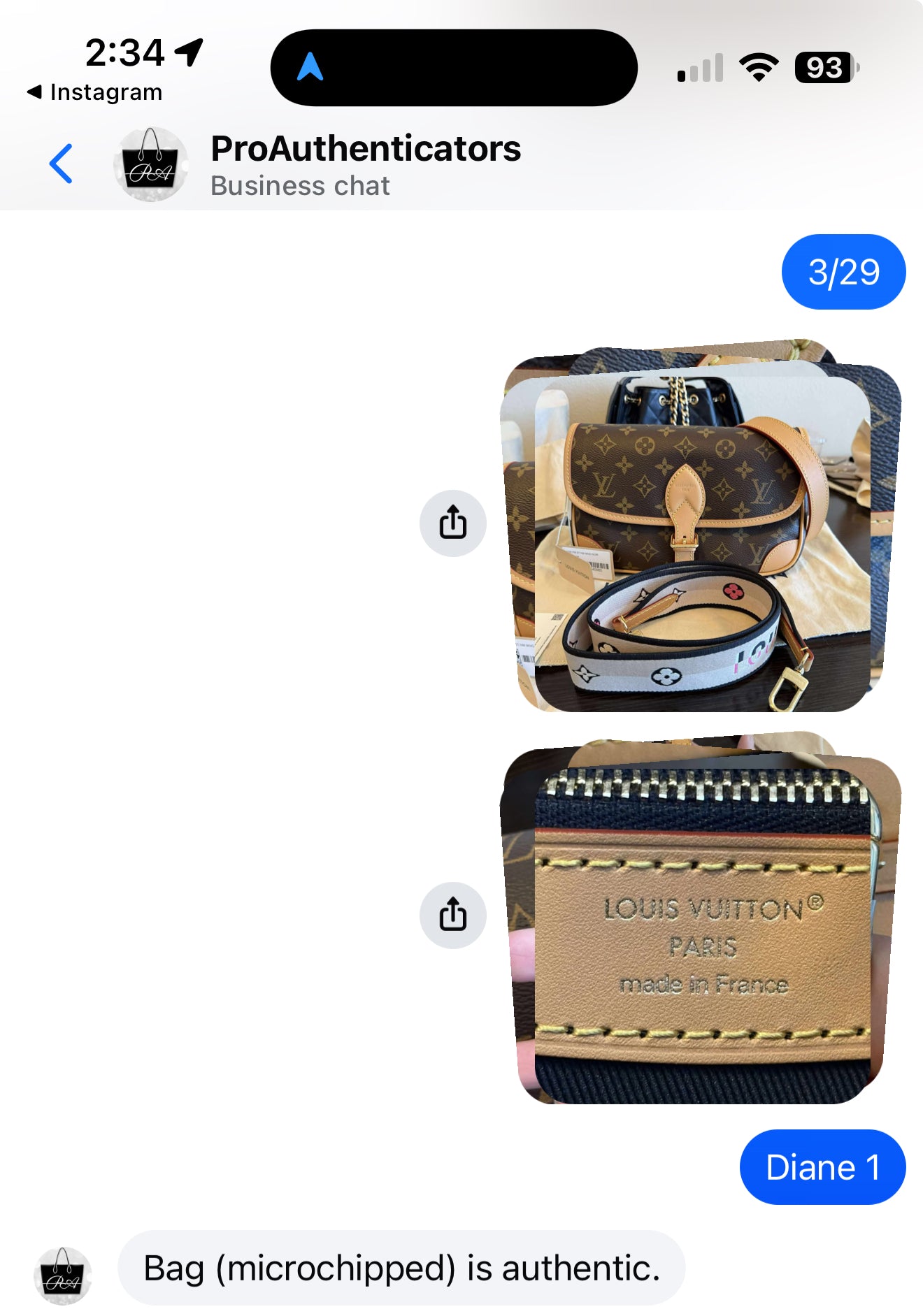 Louis Vuitton Diane Mono