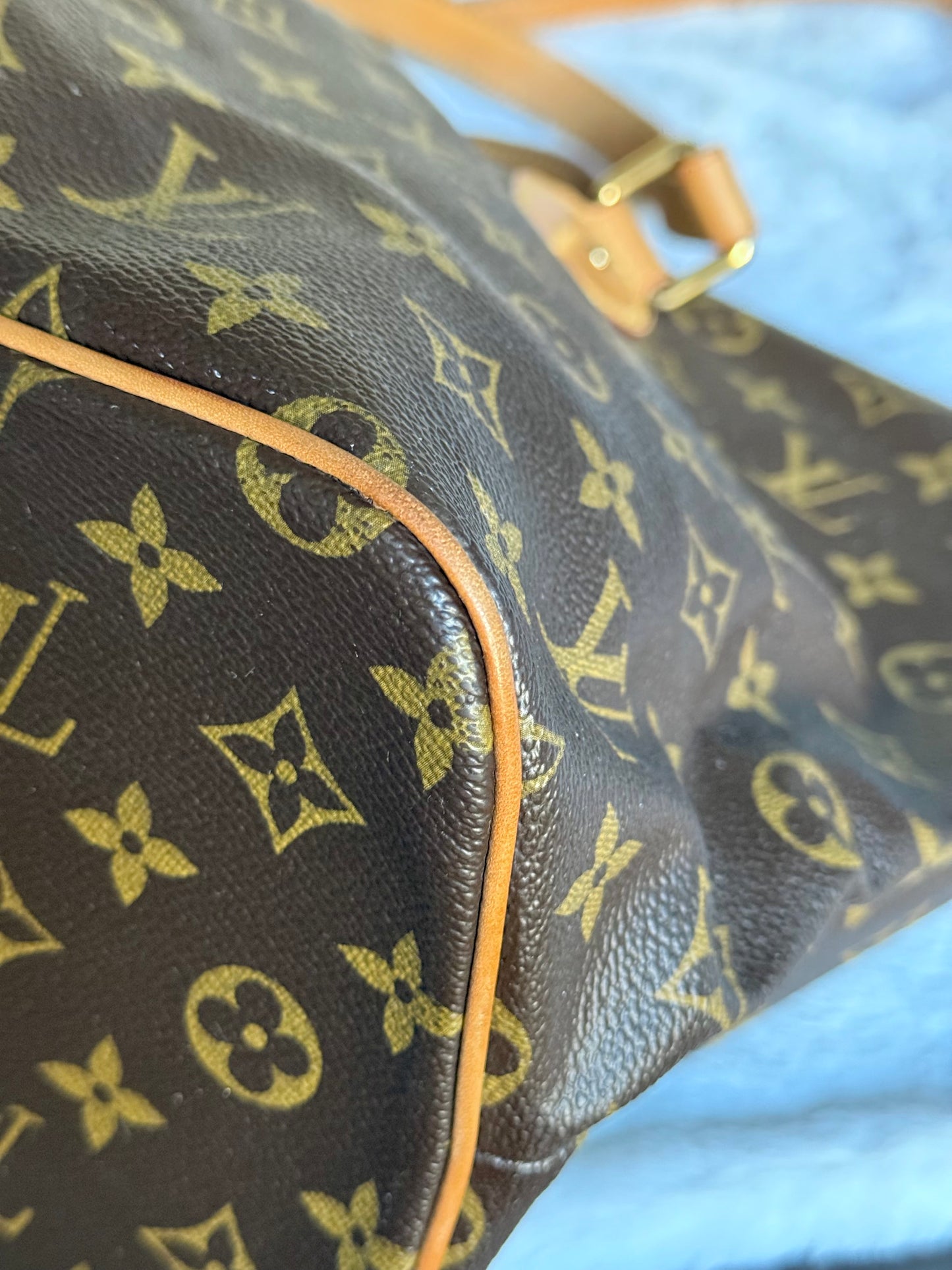 Louis Vuitton Palermo PM Mono
