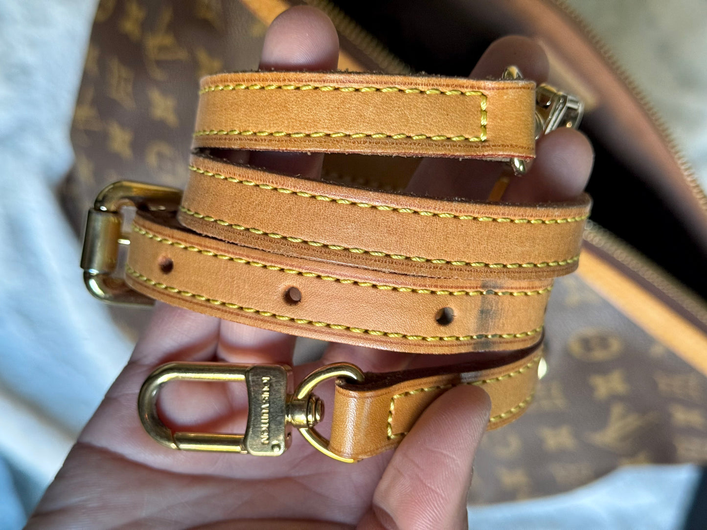 Louis Vuitton Palermo PM Mono