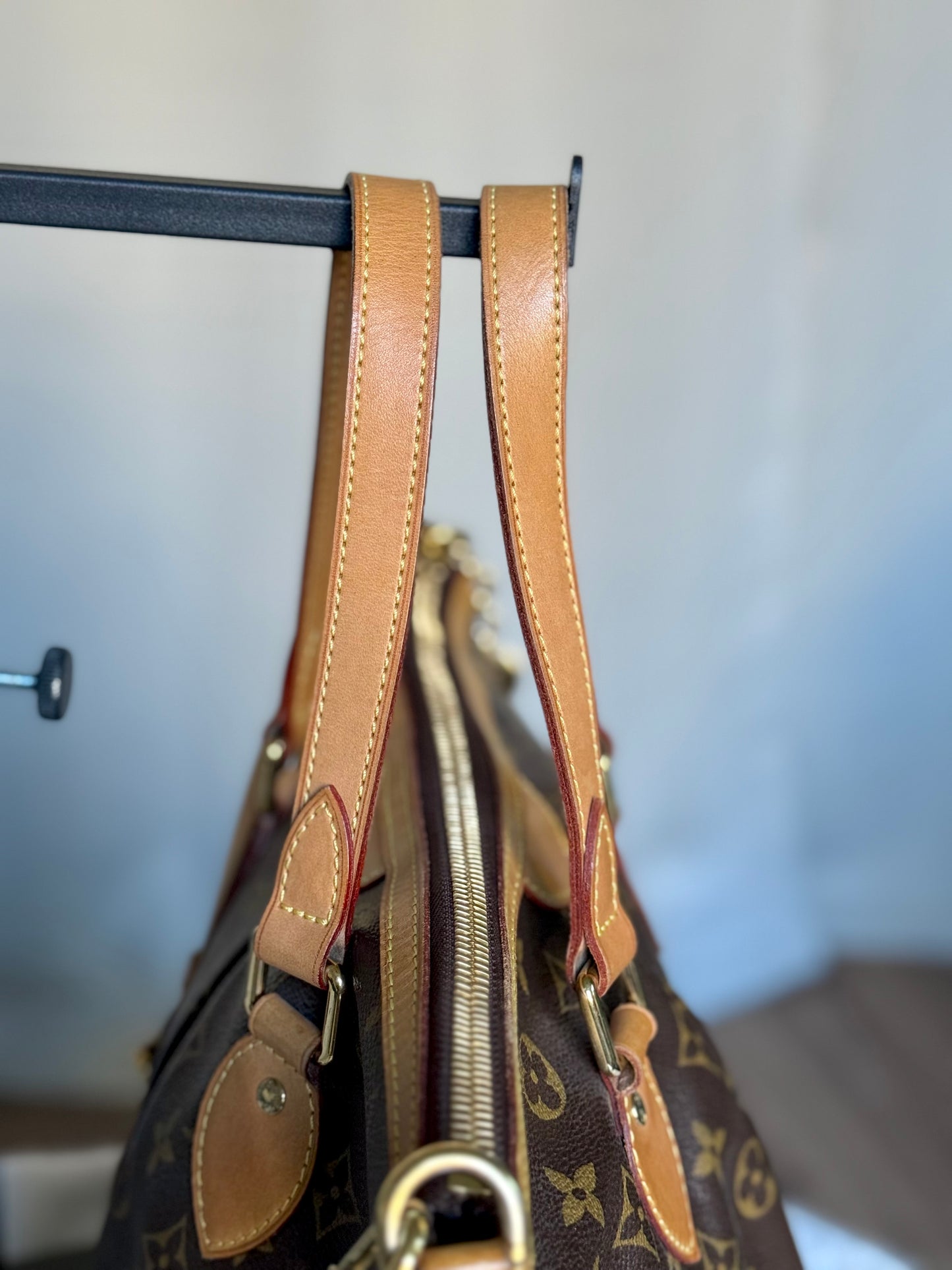 Louis Vuitton Palermo PM Mono
