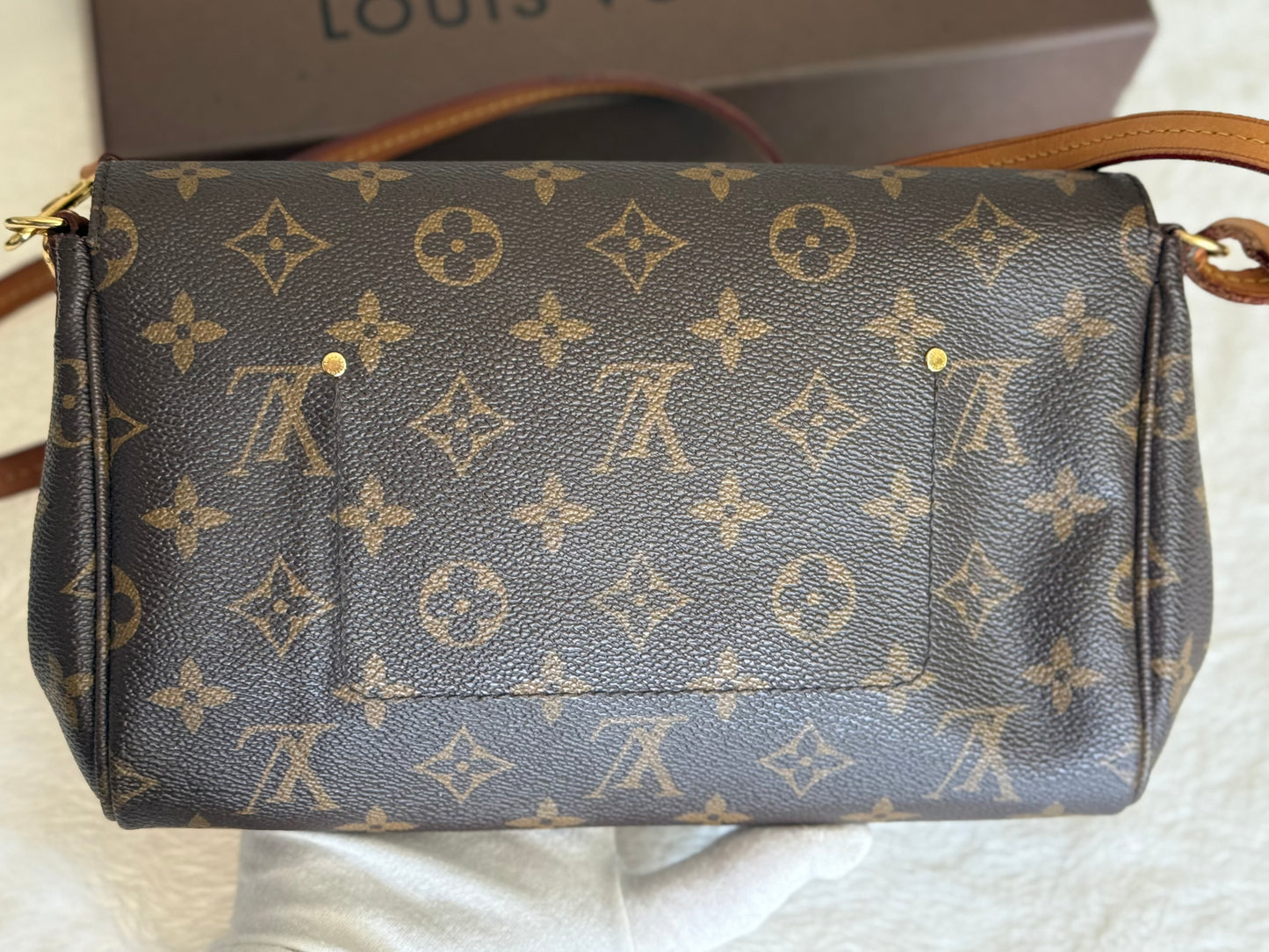 Louis Vuitton Favorite MM Mono