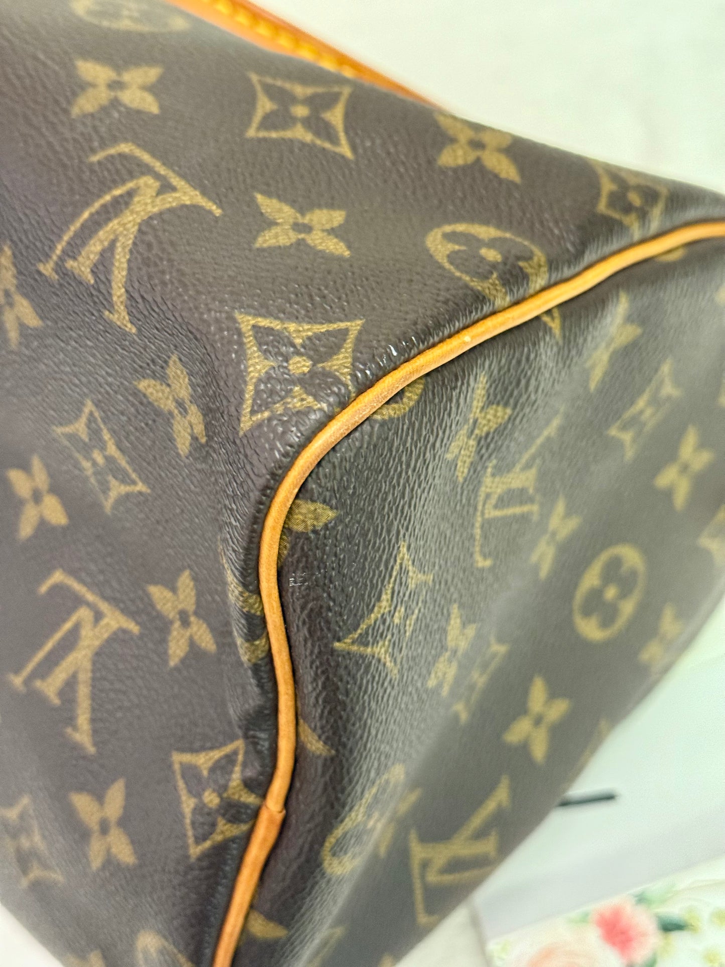 Louis Vuitton Speedy 25 Mono