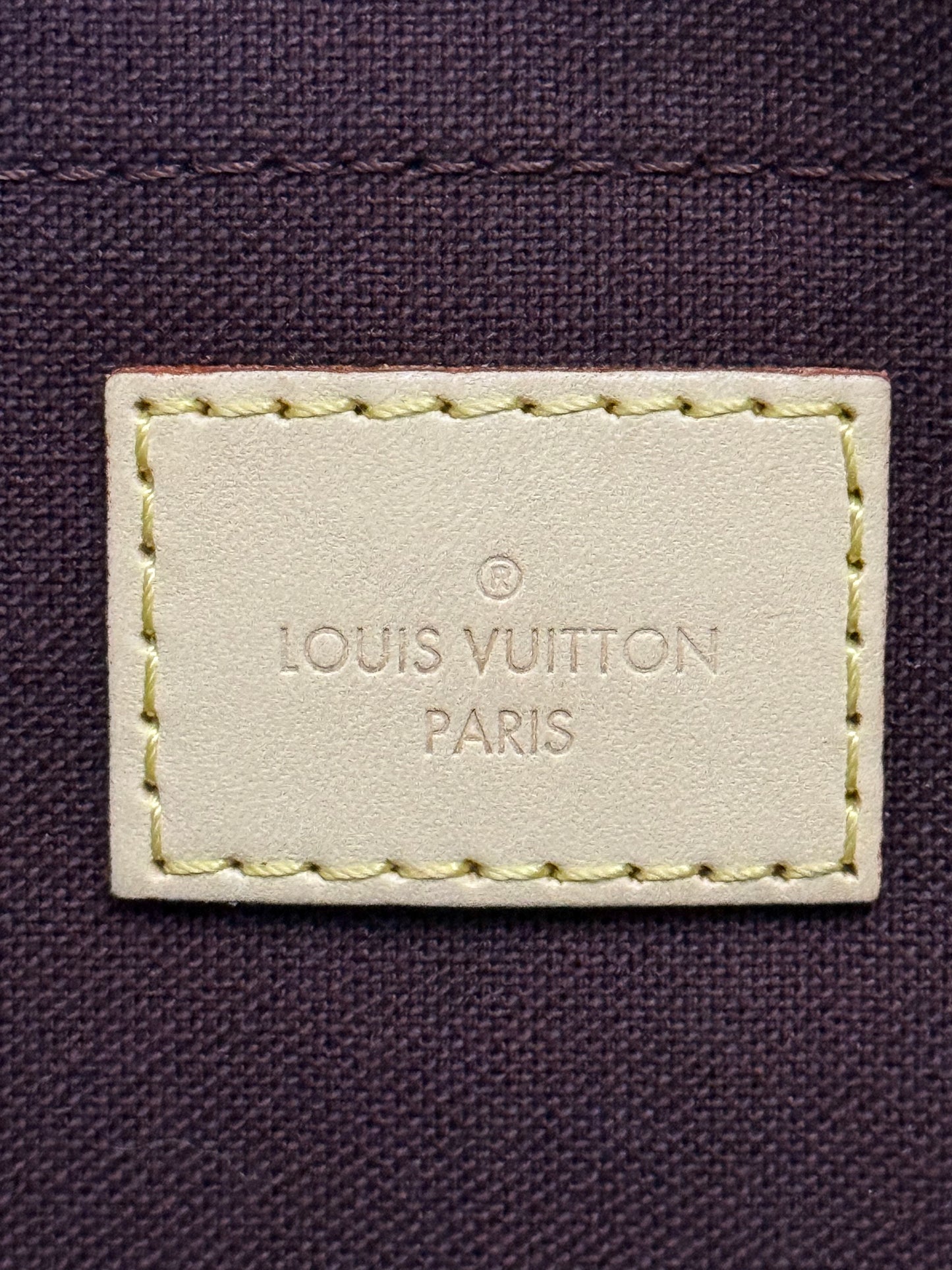Louis Vuitton Favorite MM Mono