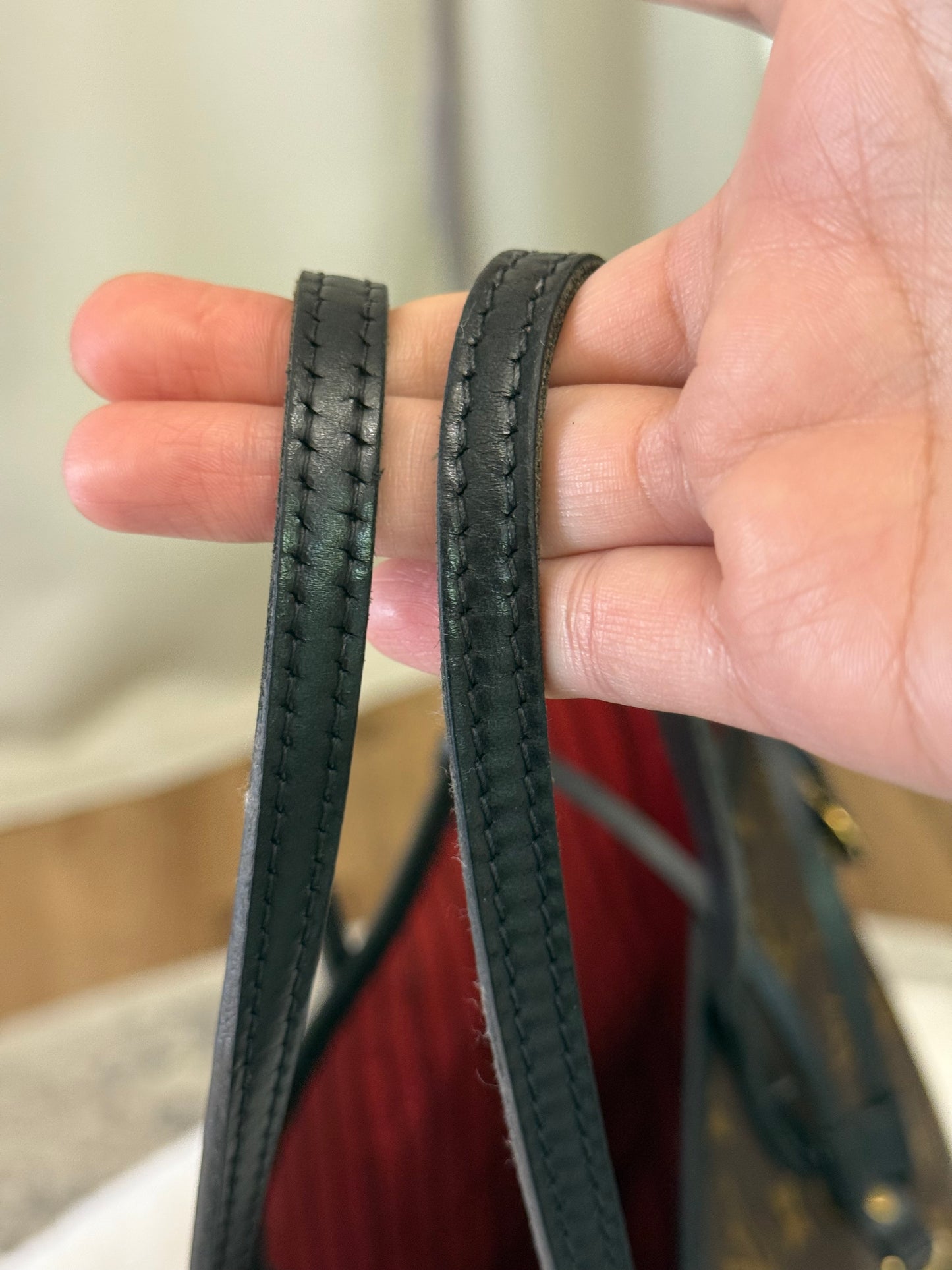 Louis Vuitton Neverfull MM World Tour Cerise