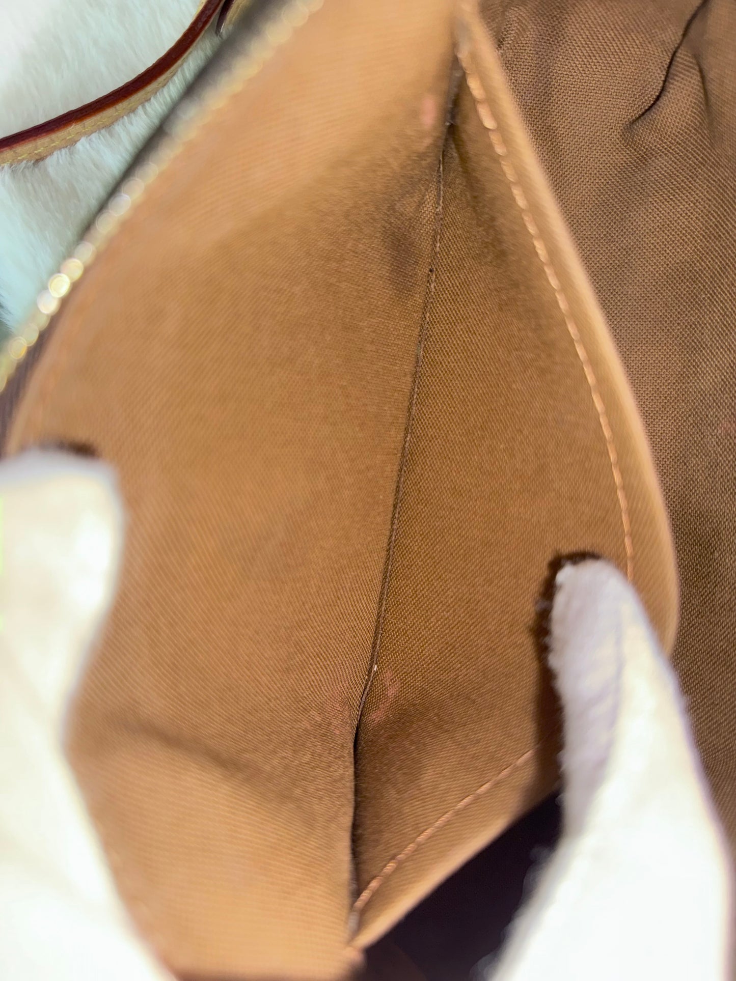 Louis Vuitton Pochette Accessoires New Model Mono