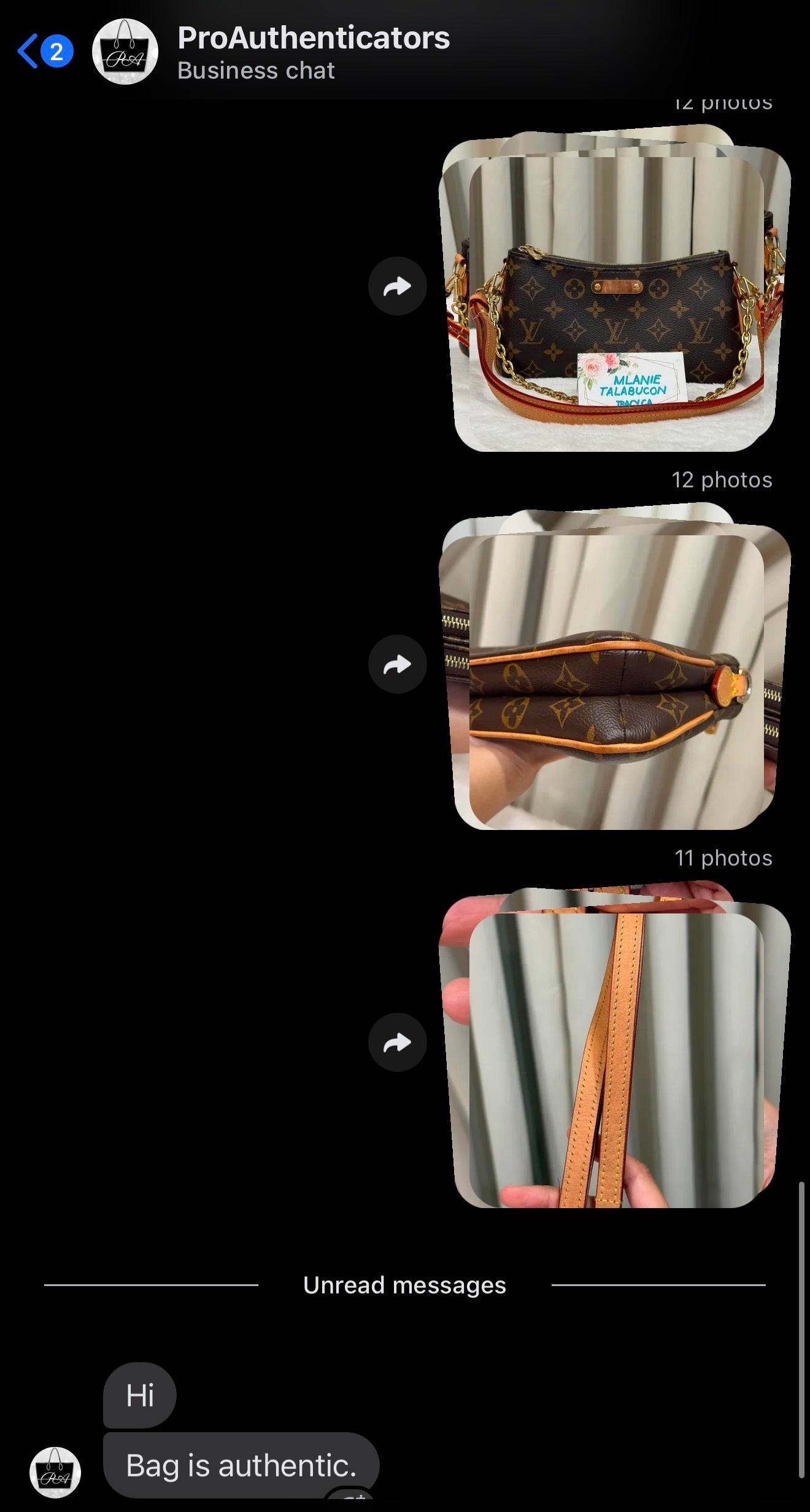 Louis Vuitton Pochette Liv Mono