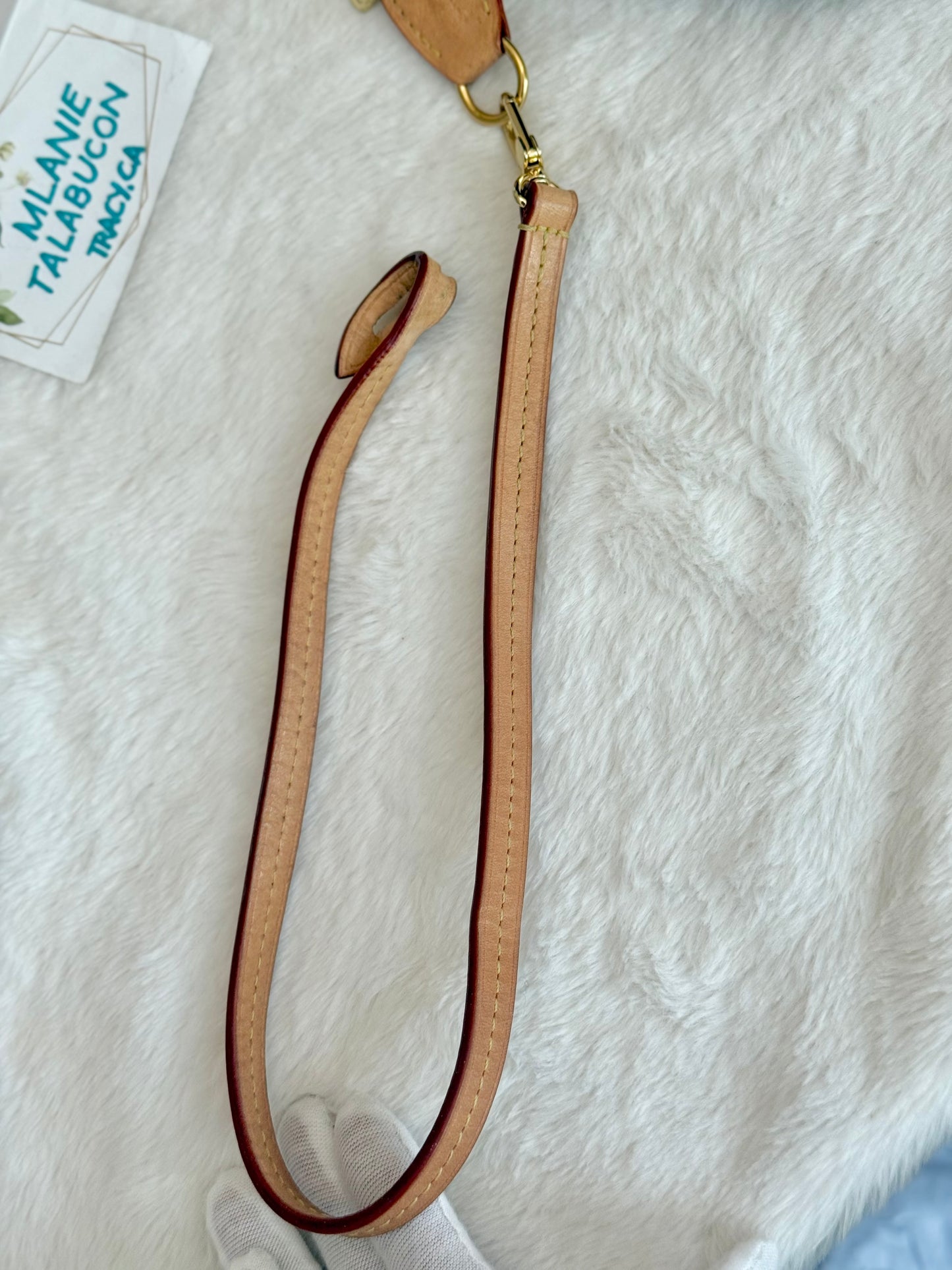 Louis Vuitton Pochette Accessoires New Model Mono