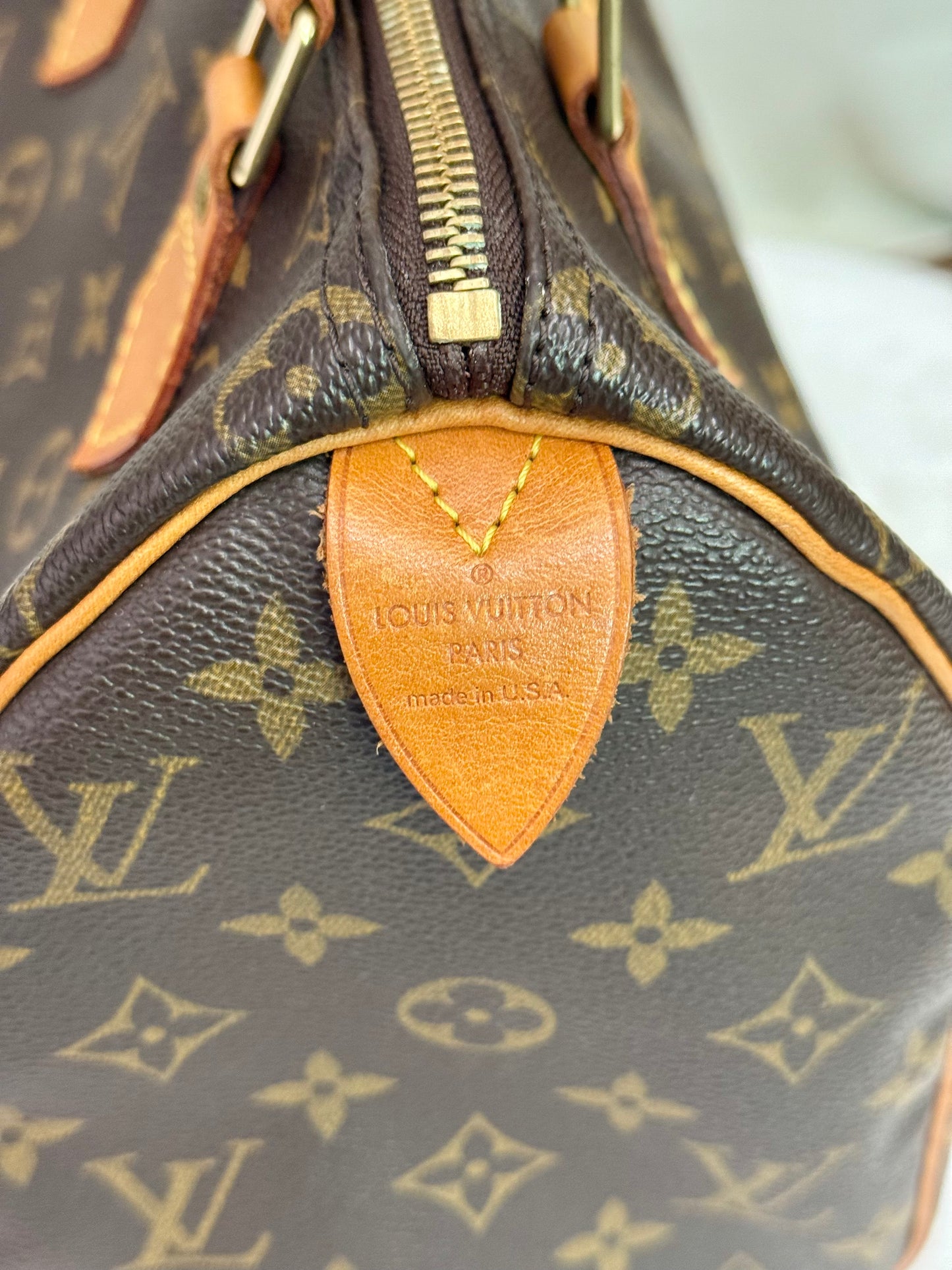 Louis Vuitton Speedy 25 Mono