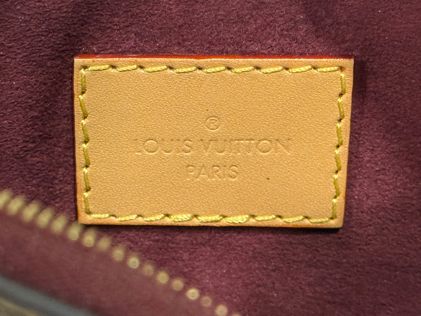 Louis Vuitton Carryall PM Pouch Mono