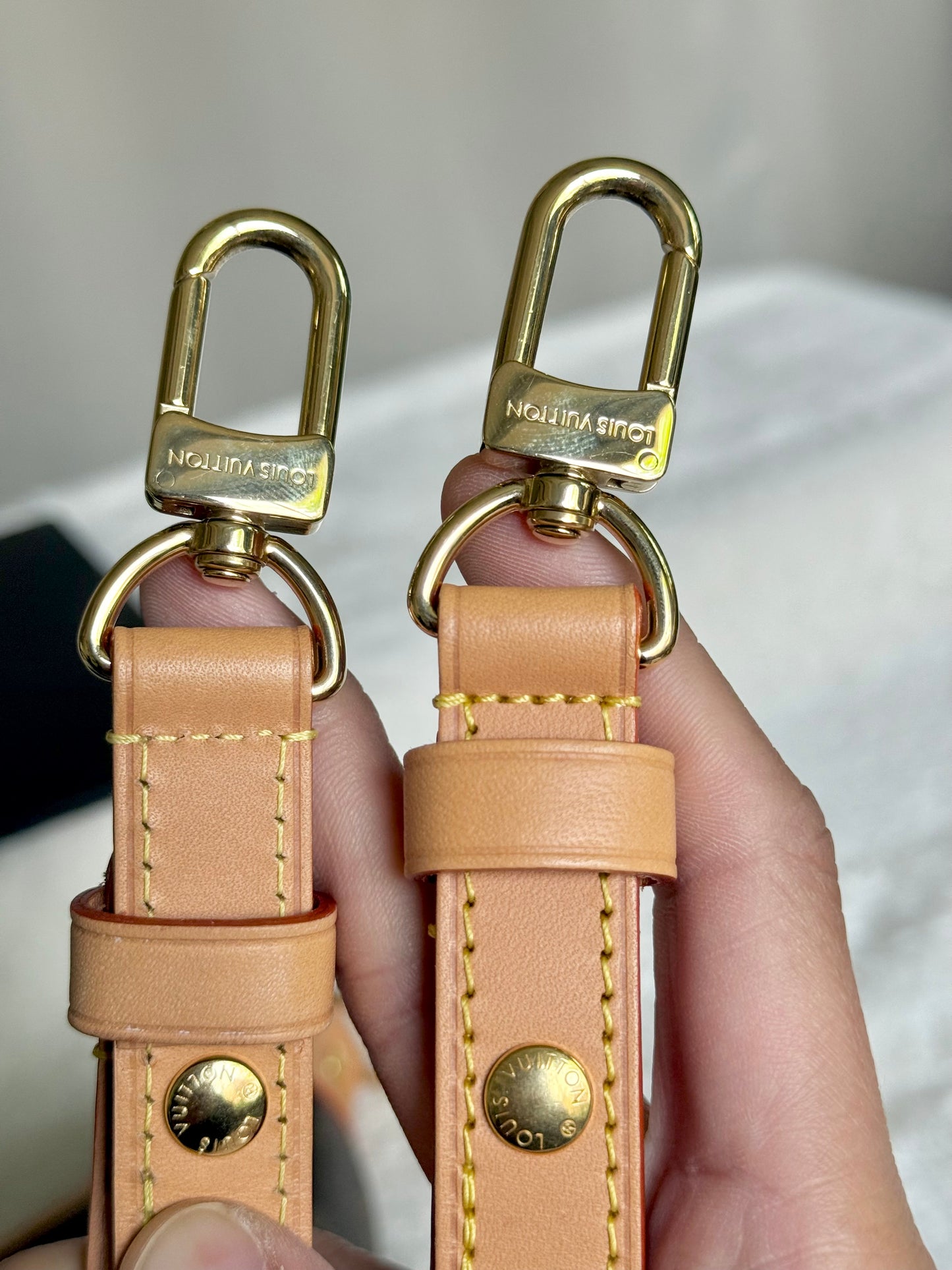 Louis Vuitton Loop PM Mono