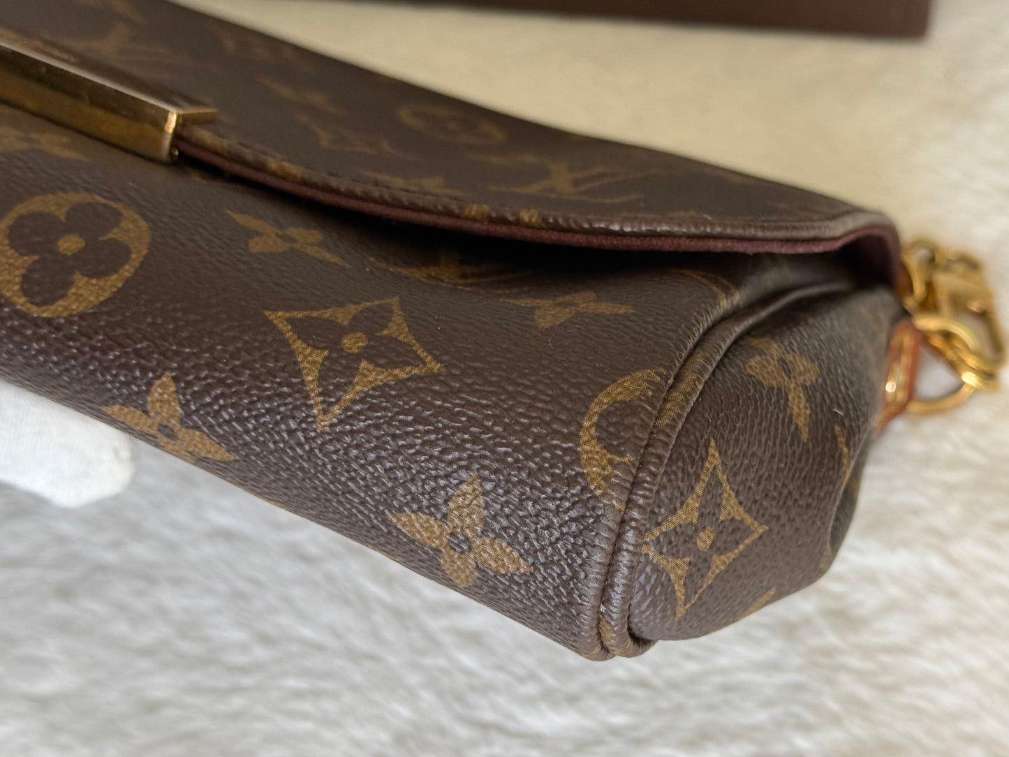 Louis Vuitton Favorite MM Mono