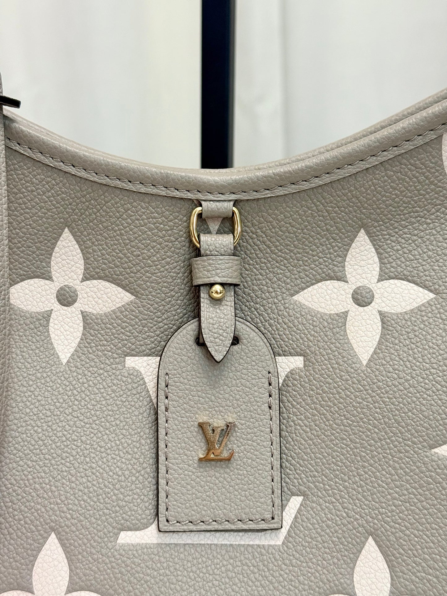 Louis Vuitton Carryall PM Bicolor Dove/Cream Bag