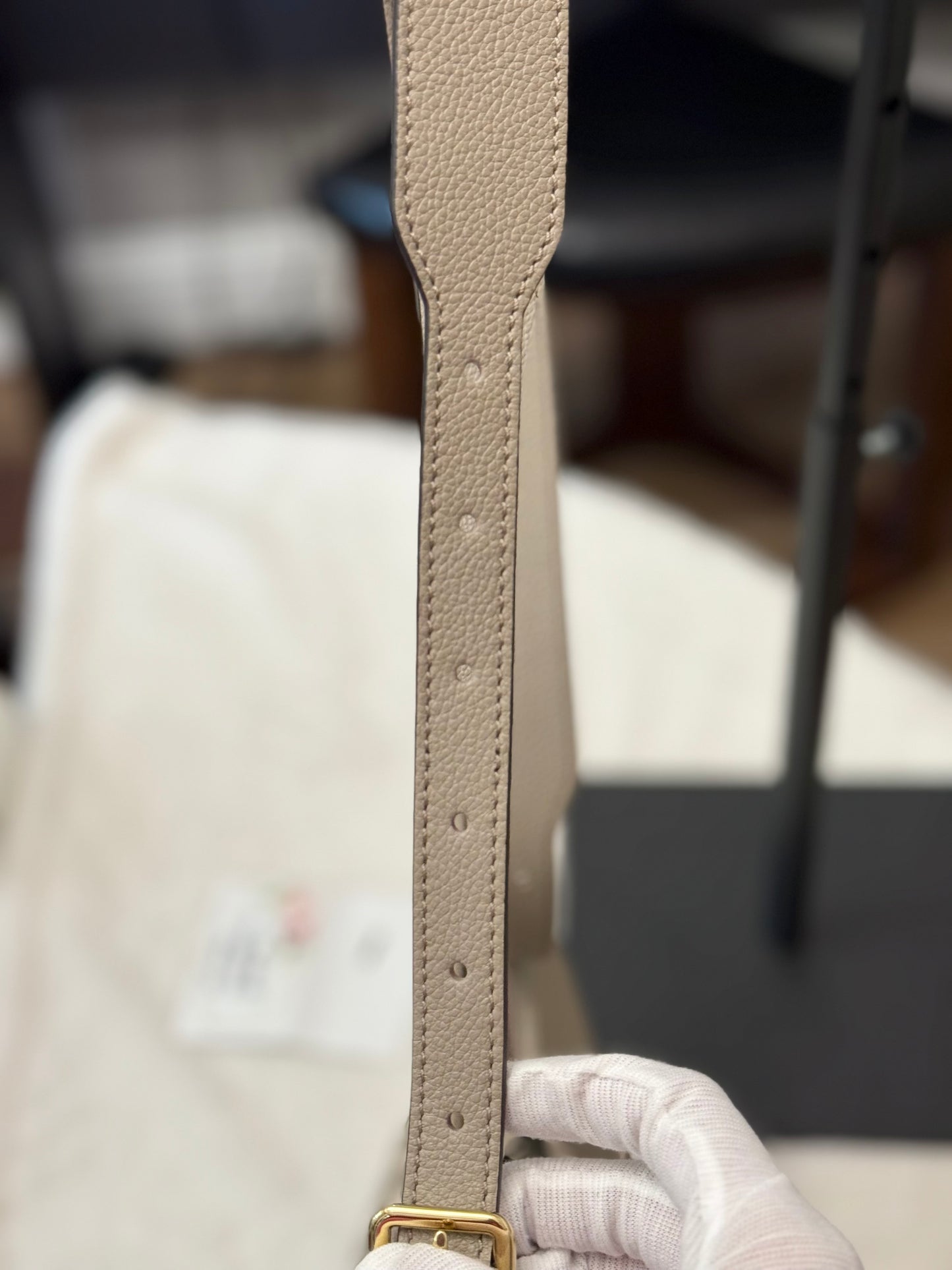 Louis Vuitton Carryall PM Bicolor Dove/Cream Bag