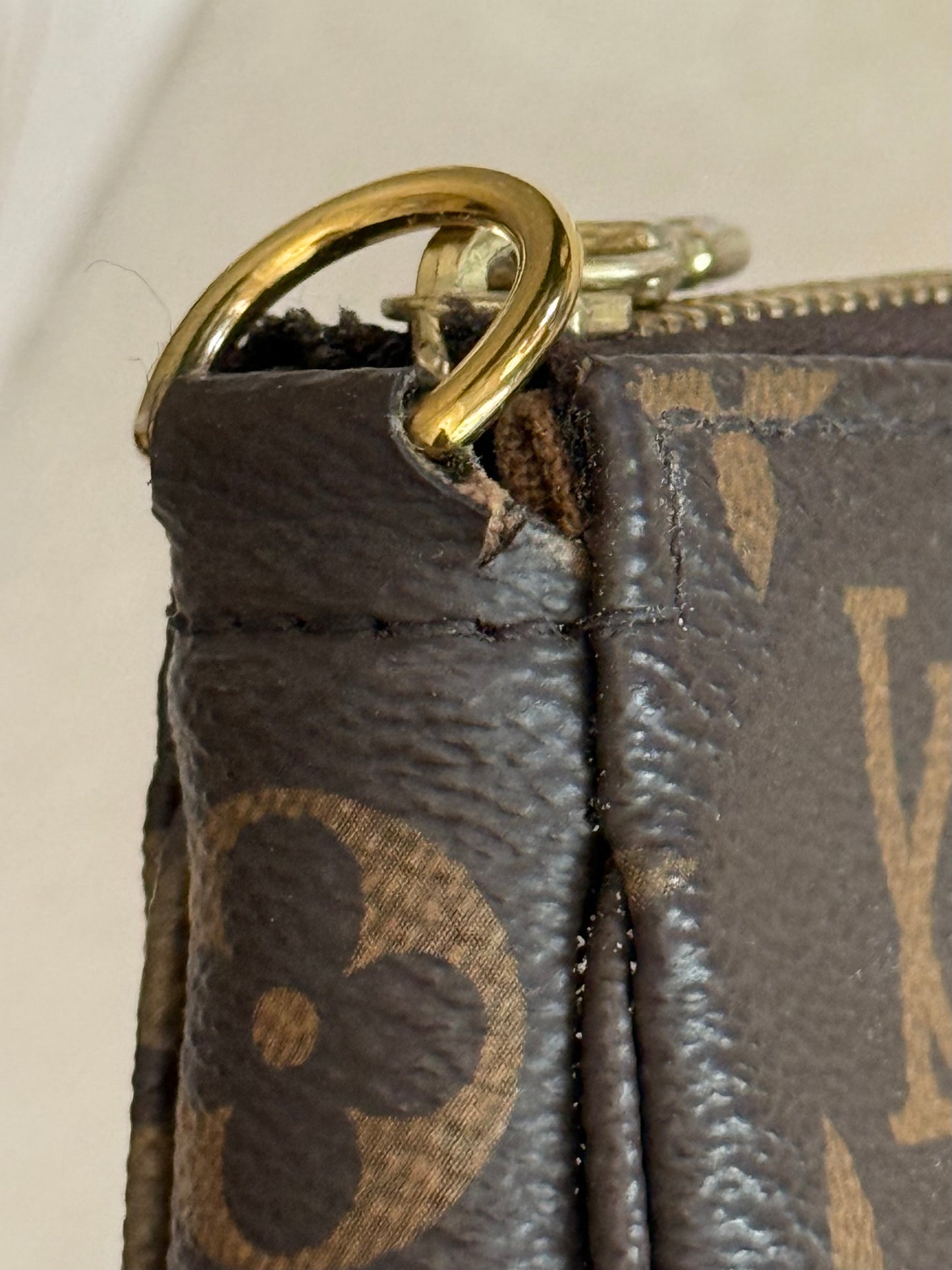 Louis Vuitton Pochette Accessoires New Model Mono