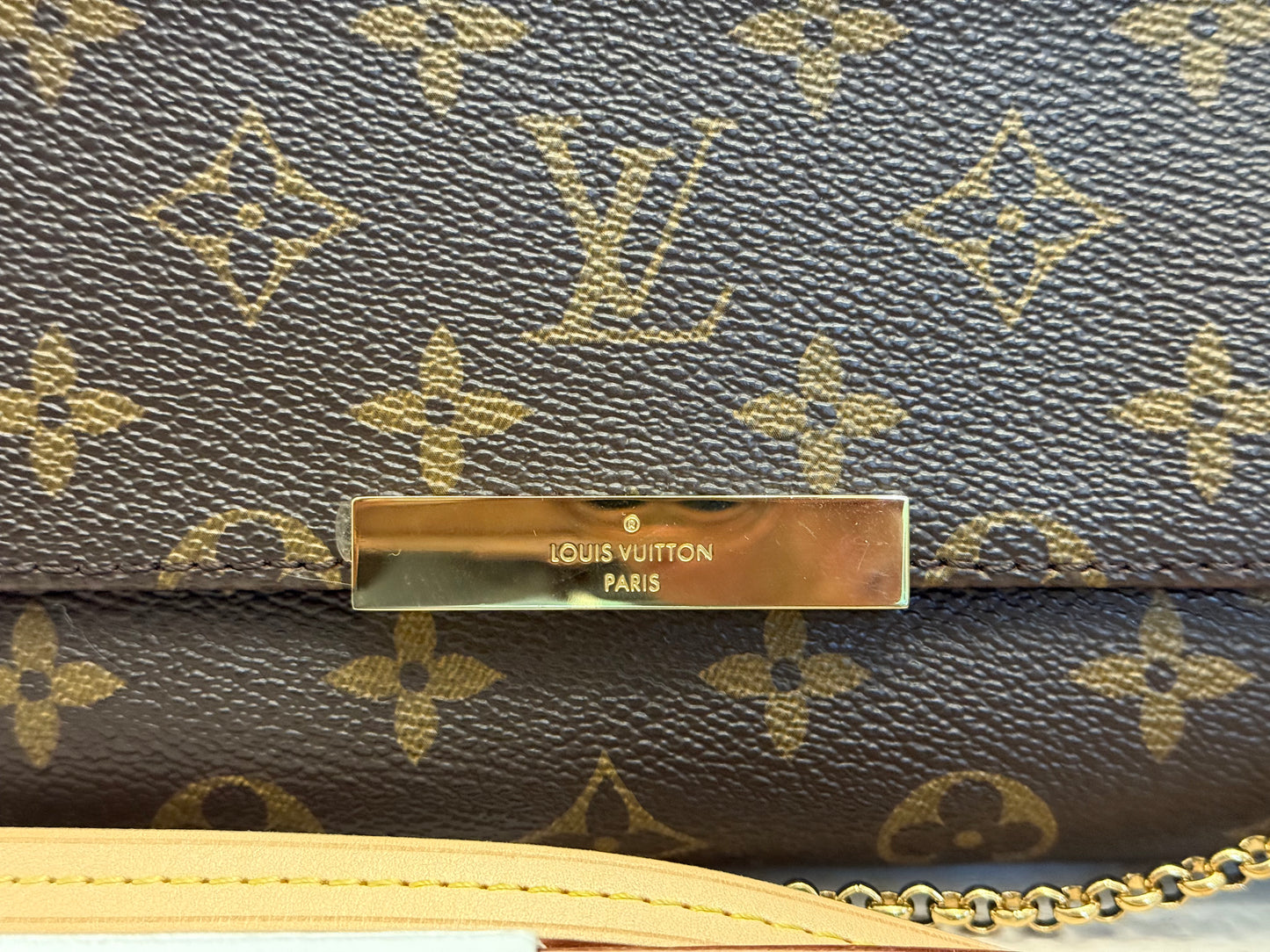Louis Vuitton Favorite MM Mono