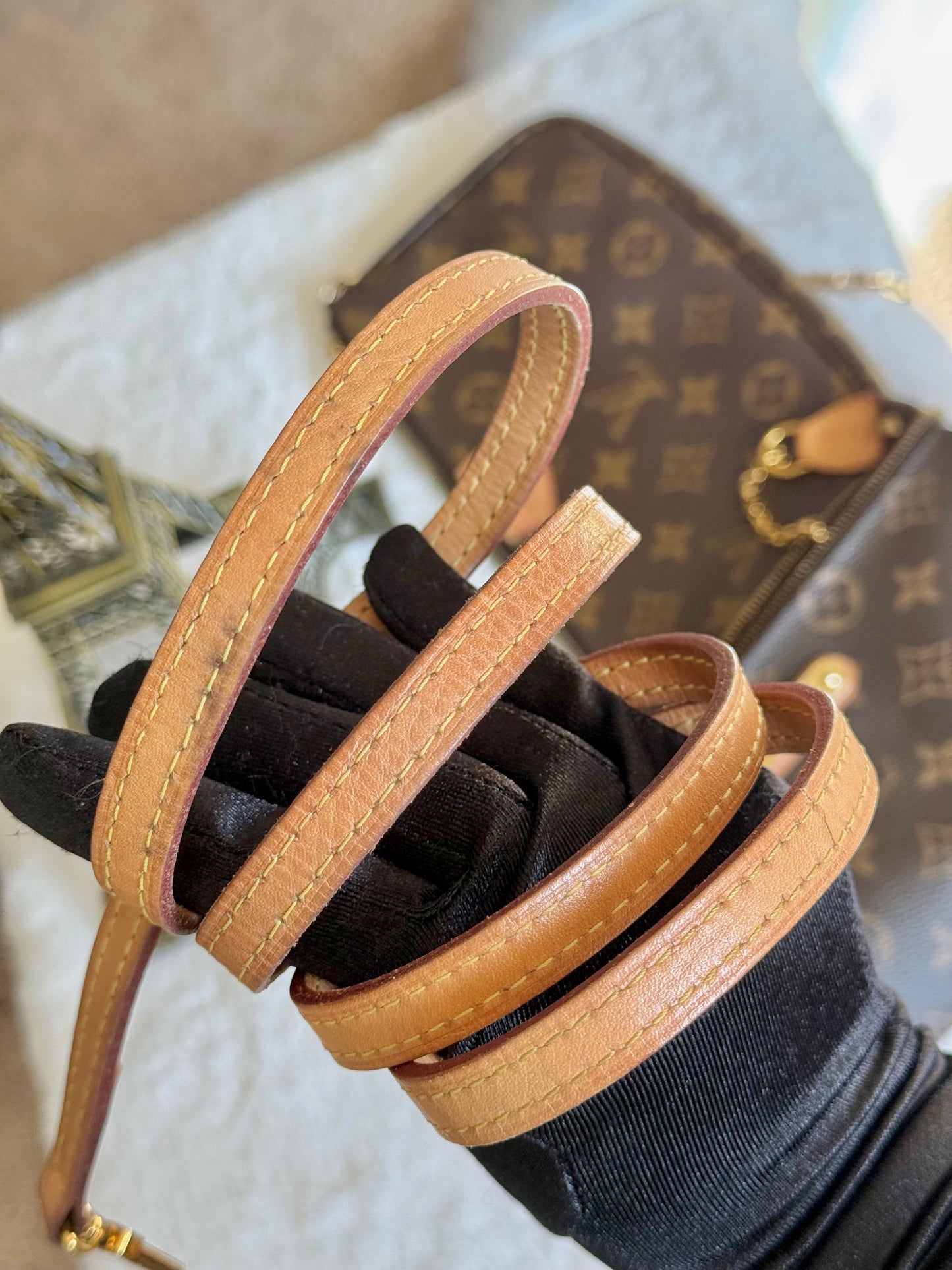 Louis Vuitton Eva Pochette Mono
