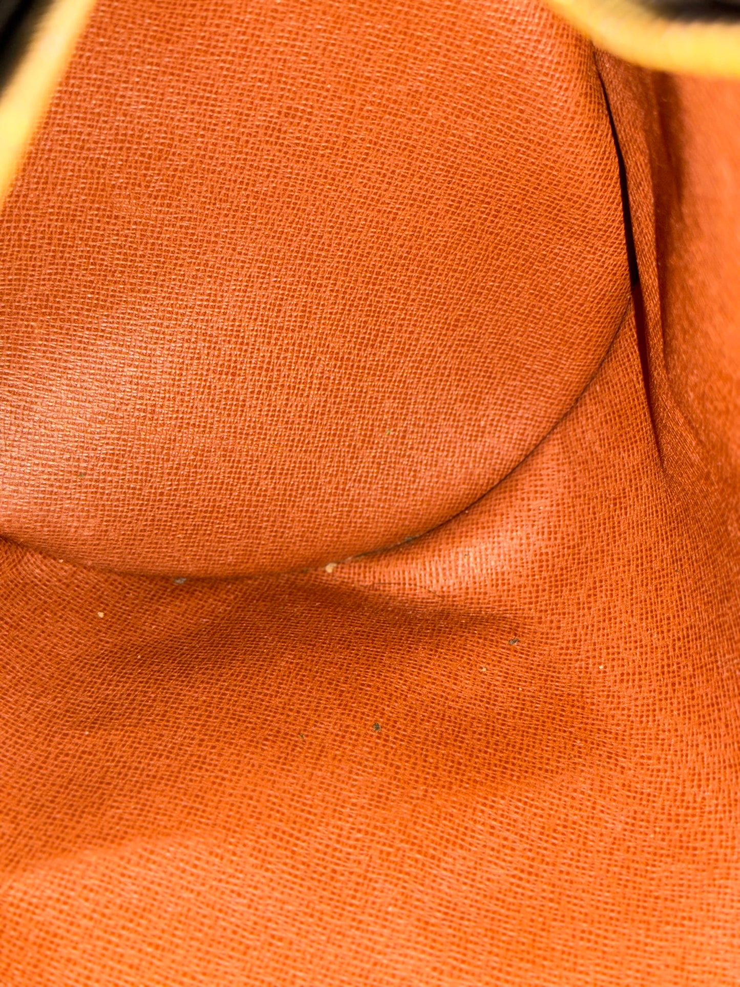 Louis Vuitton Vintage Papillon Mono