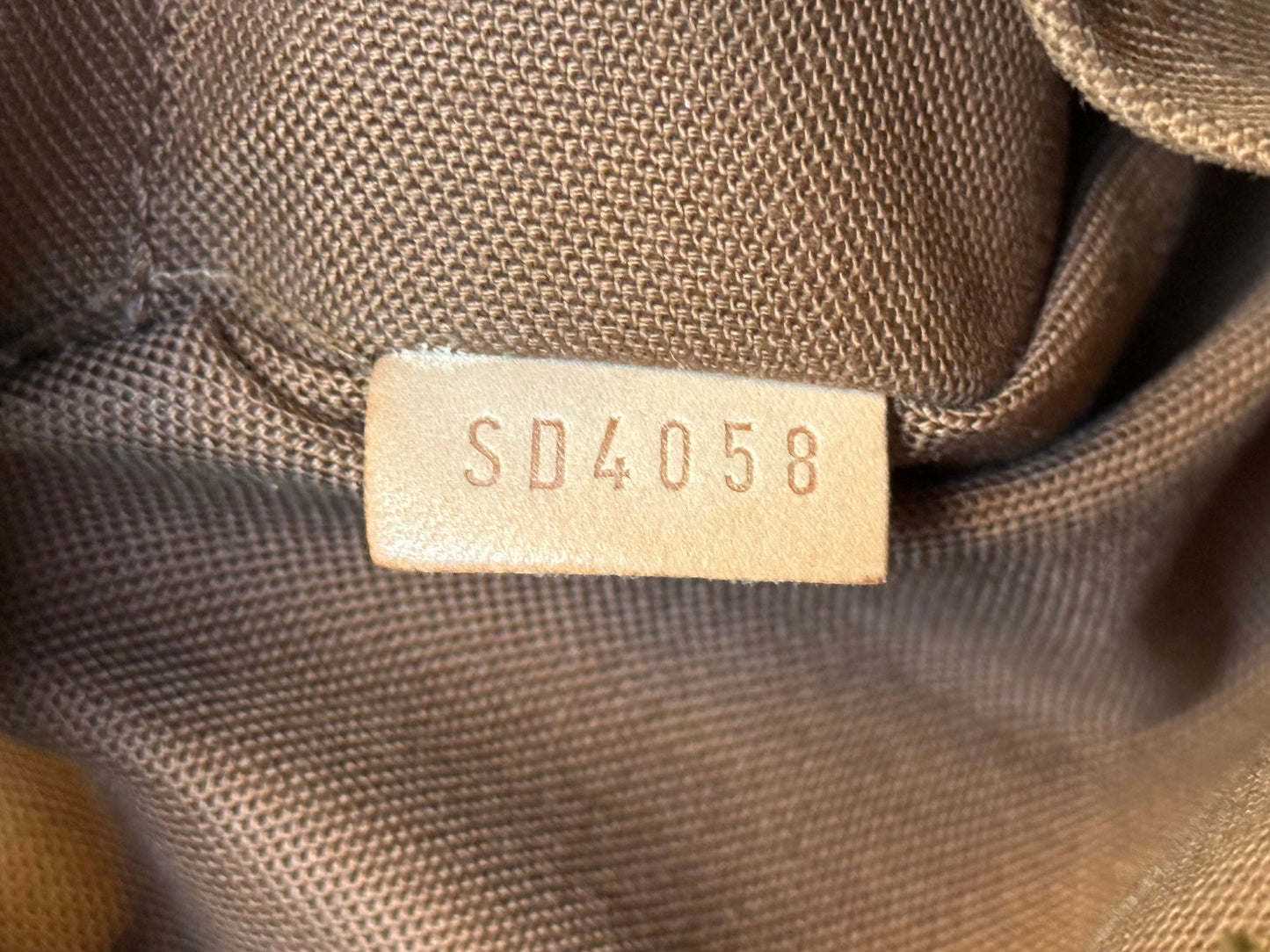 Louis Vuitton Palermo PM Mono