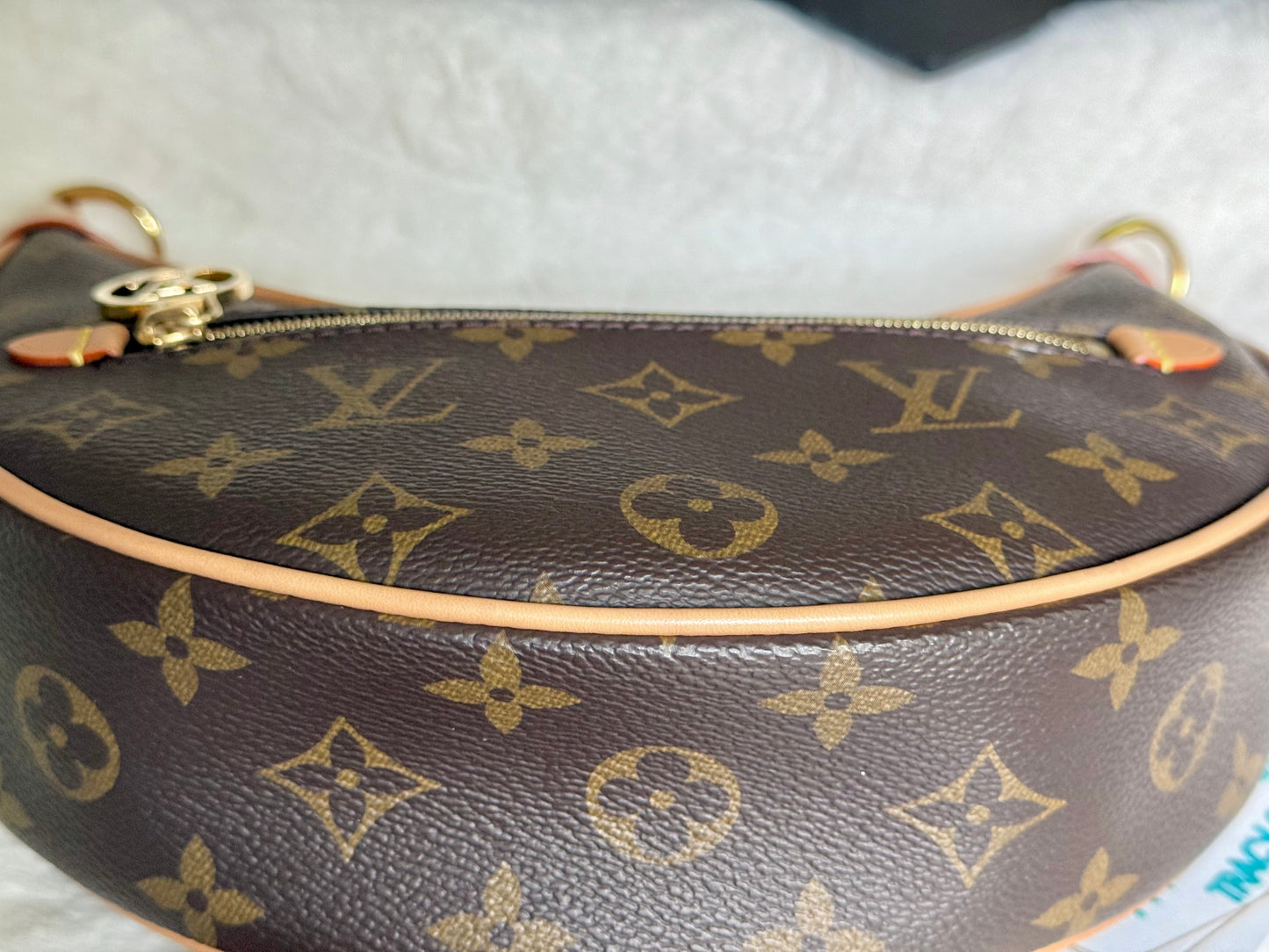 Louis Vuitton Loop PM Mono