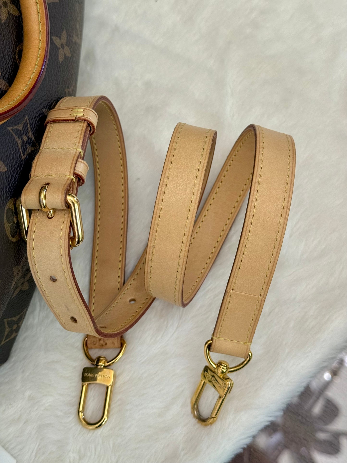 Louis Vuitton Turenne MM Mono