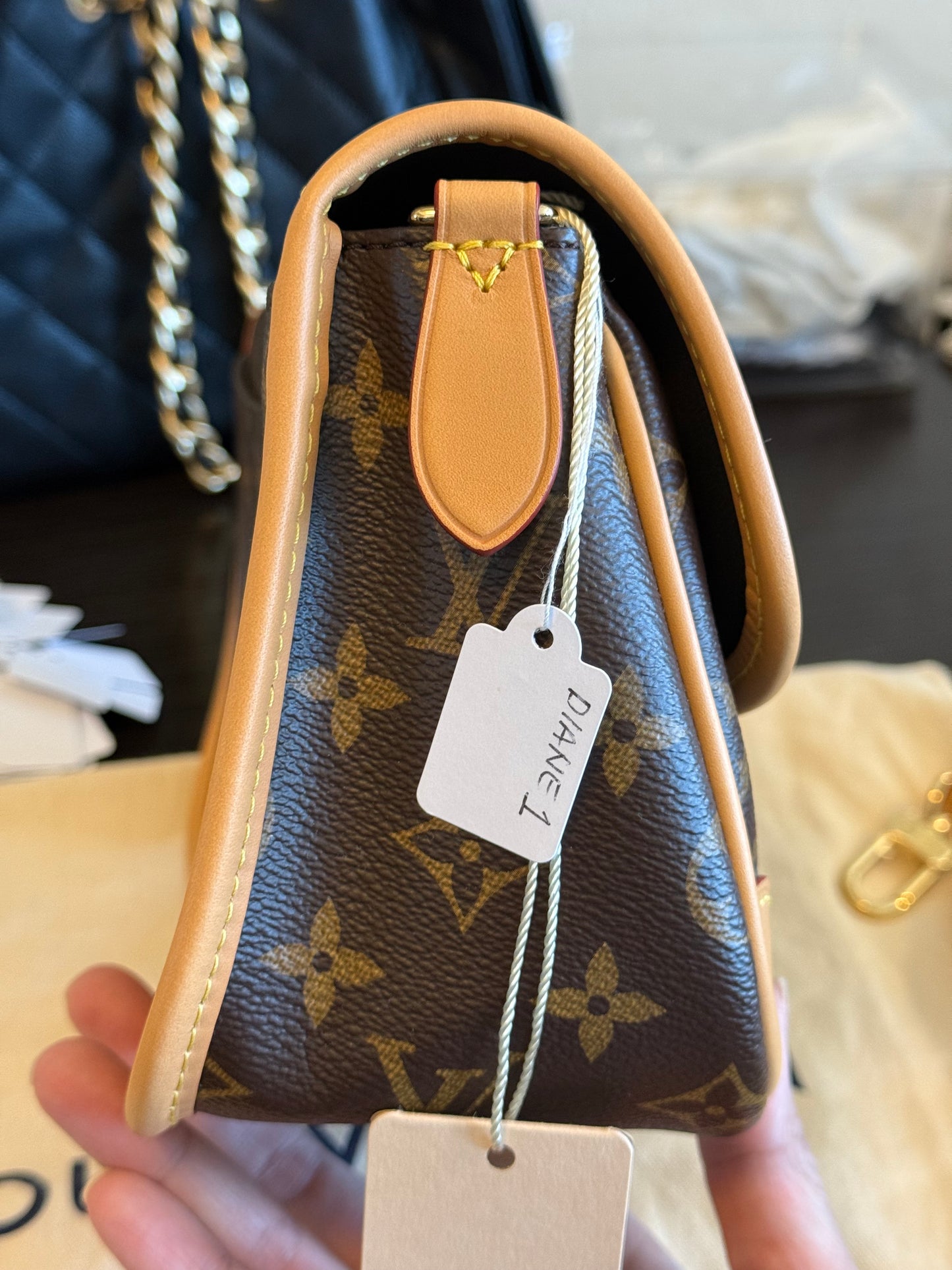 Louis Vuitton Diane Mono