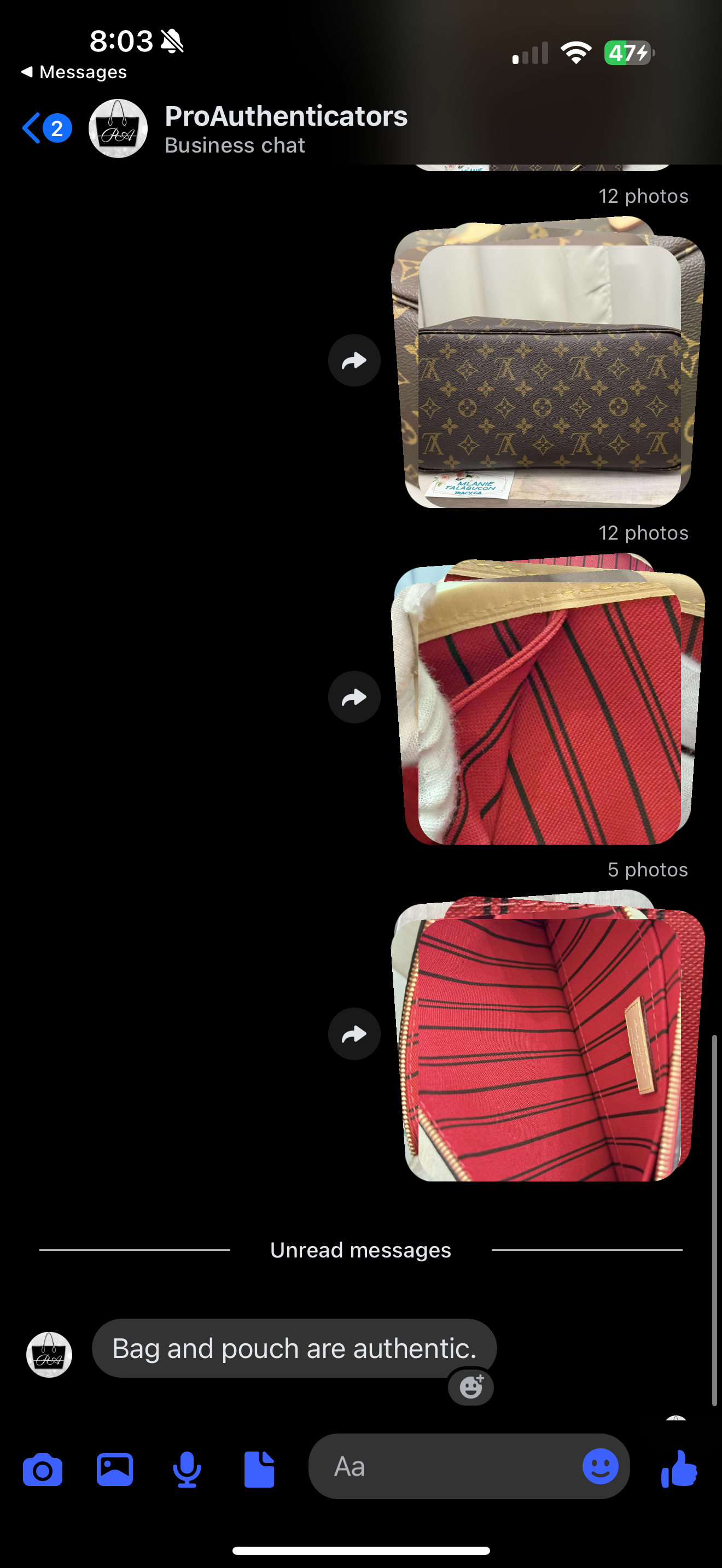 Louis Vuitton Neverfull MM Mono Cerise Bag Only