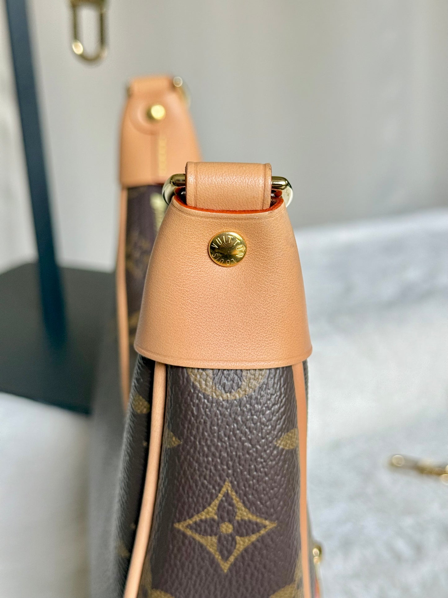 Louis Vuitton Loop PM Mono