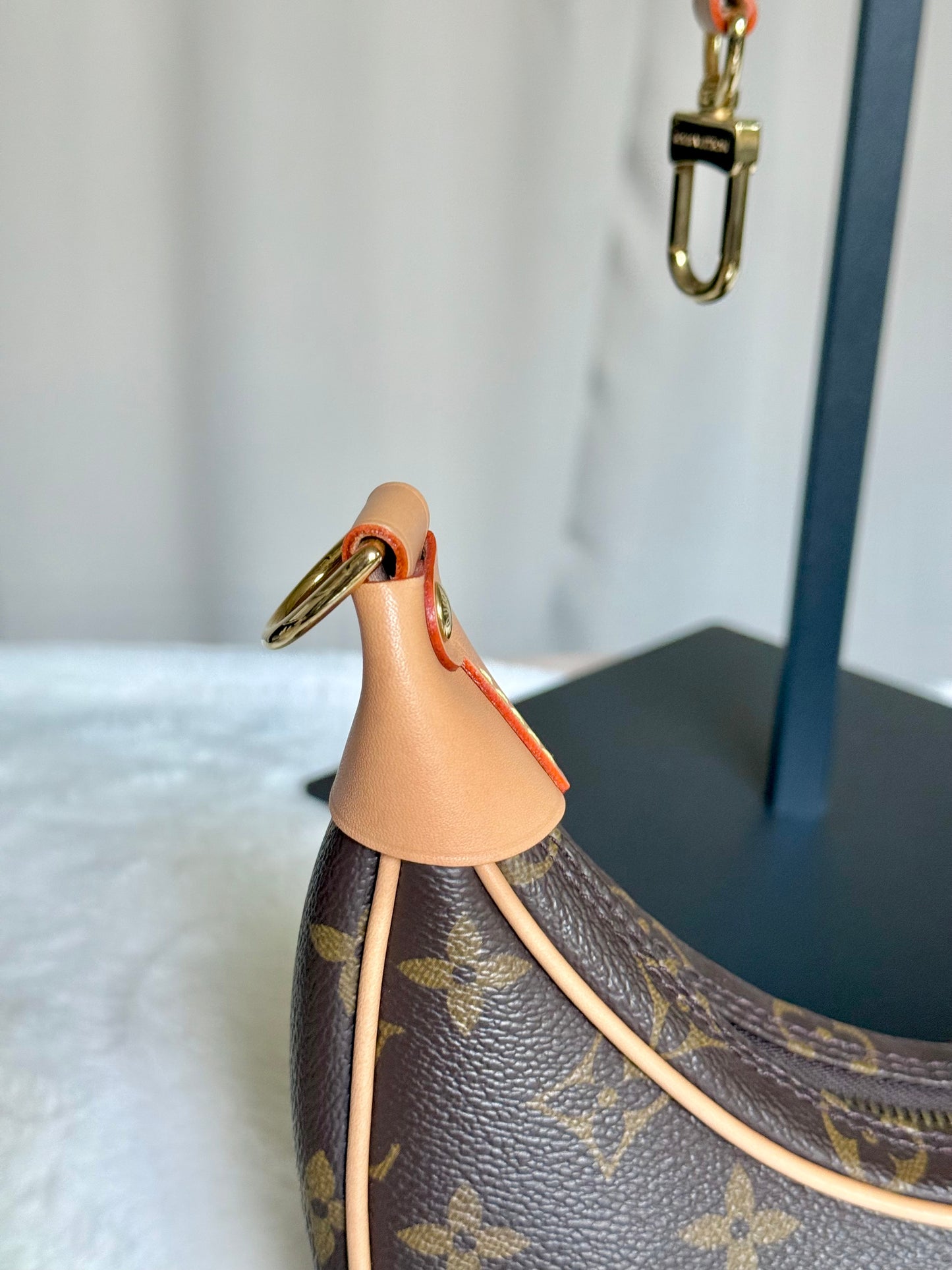 Louis Vuitton Loop PM Mono