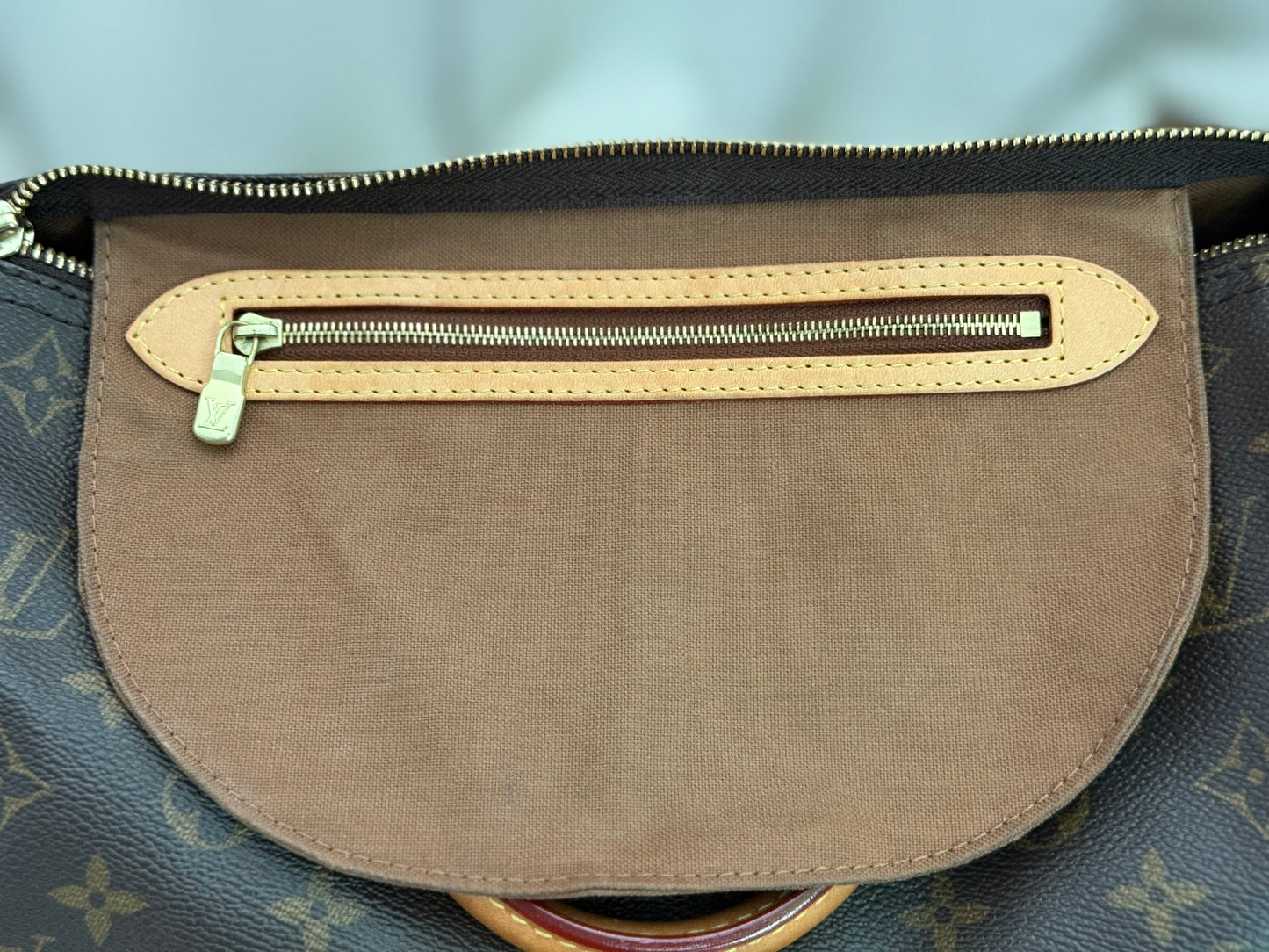 Louis Vuitton Speedy 30 Mono