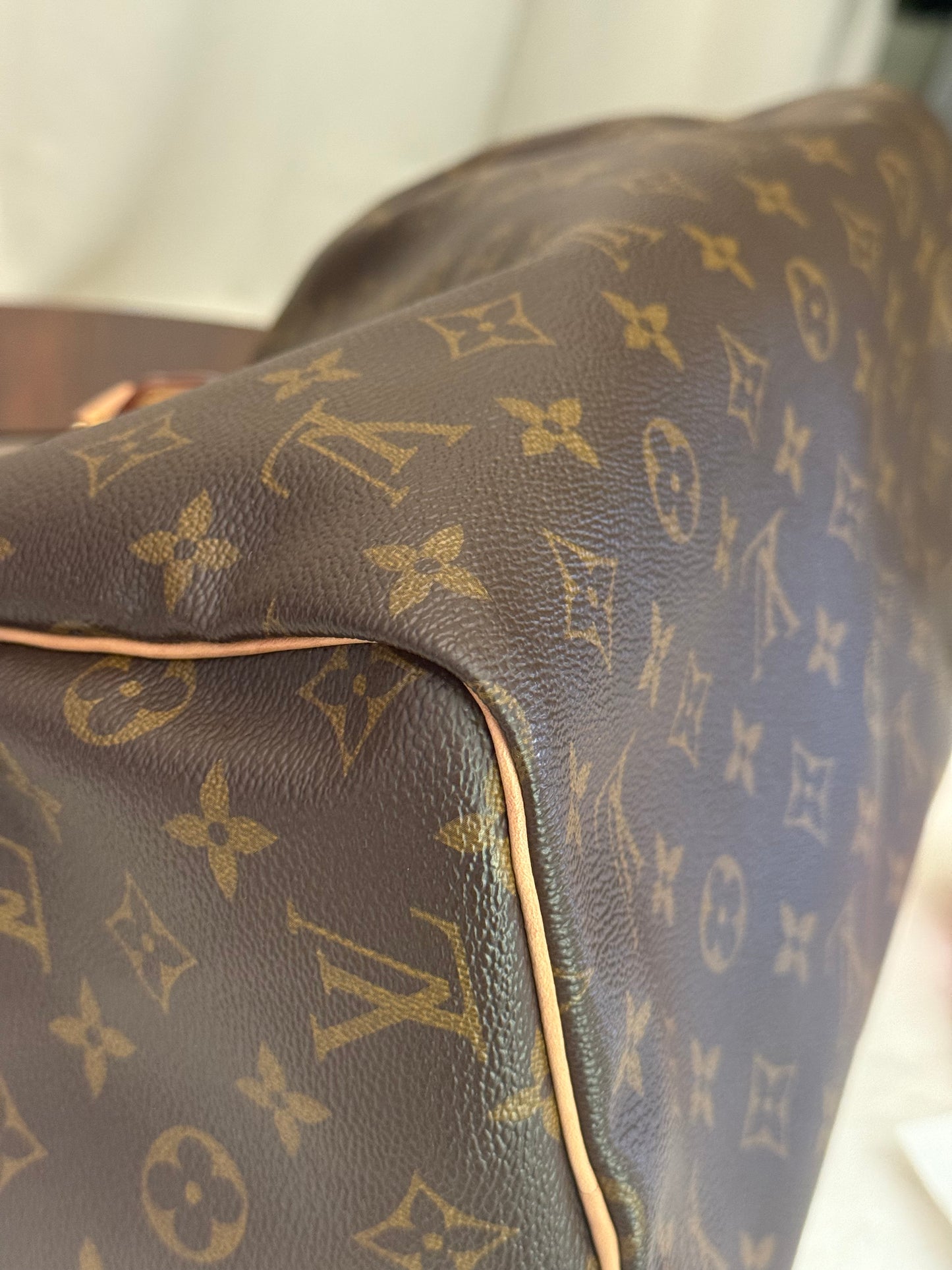 Louis Vuitton Speedy 30 Mono